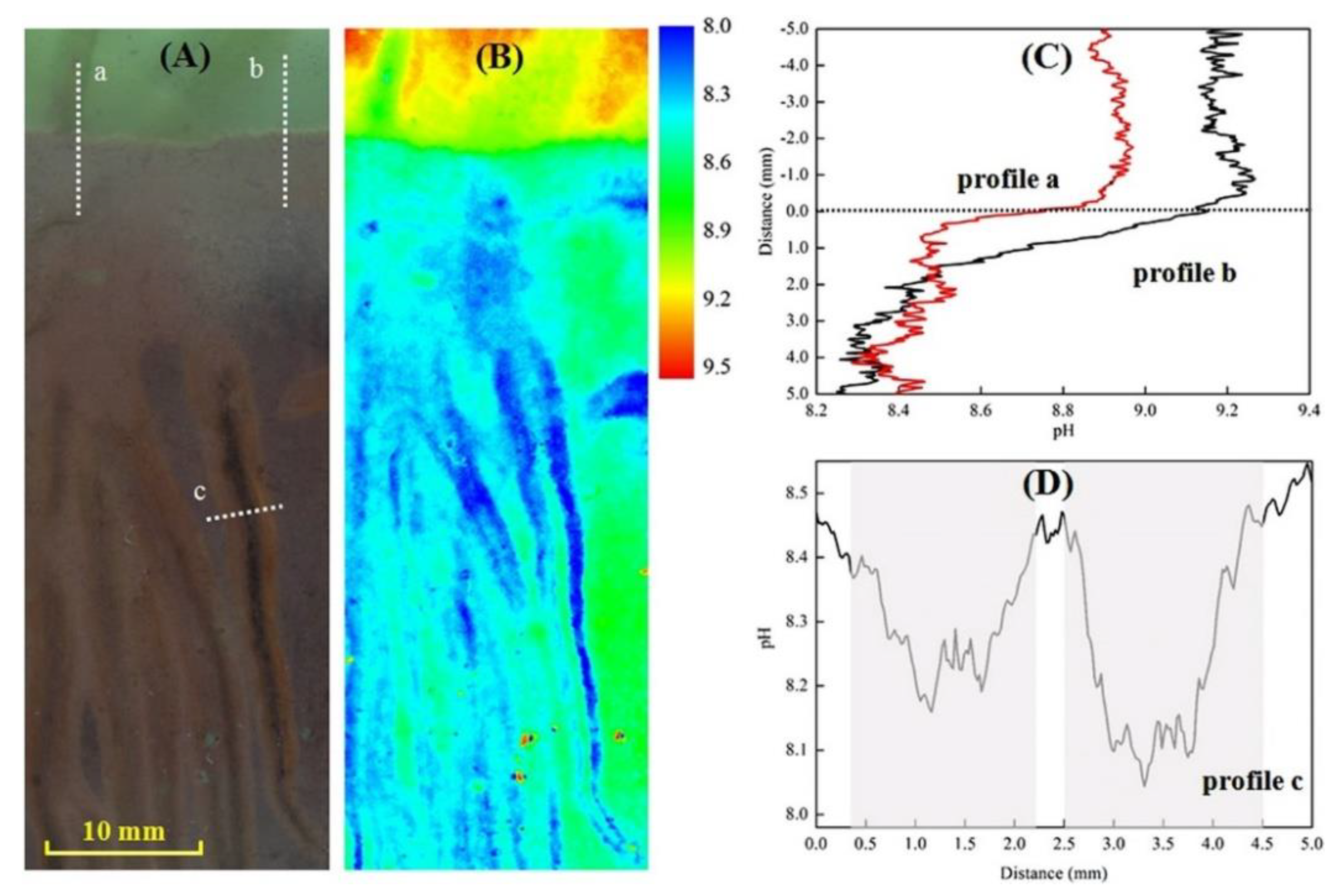 Chemosensors 12 00031 g018