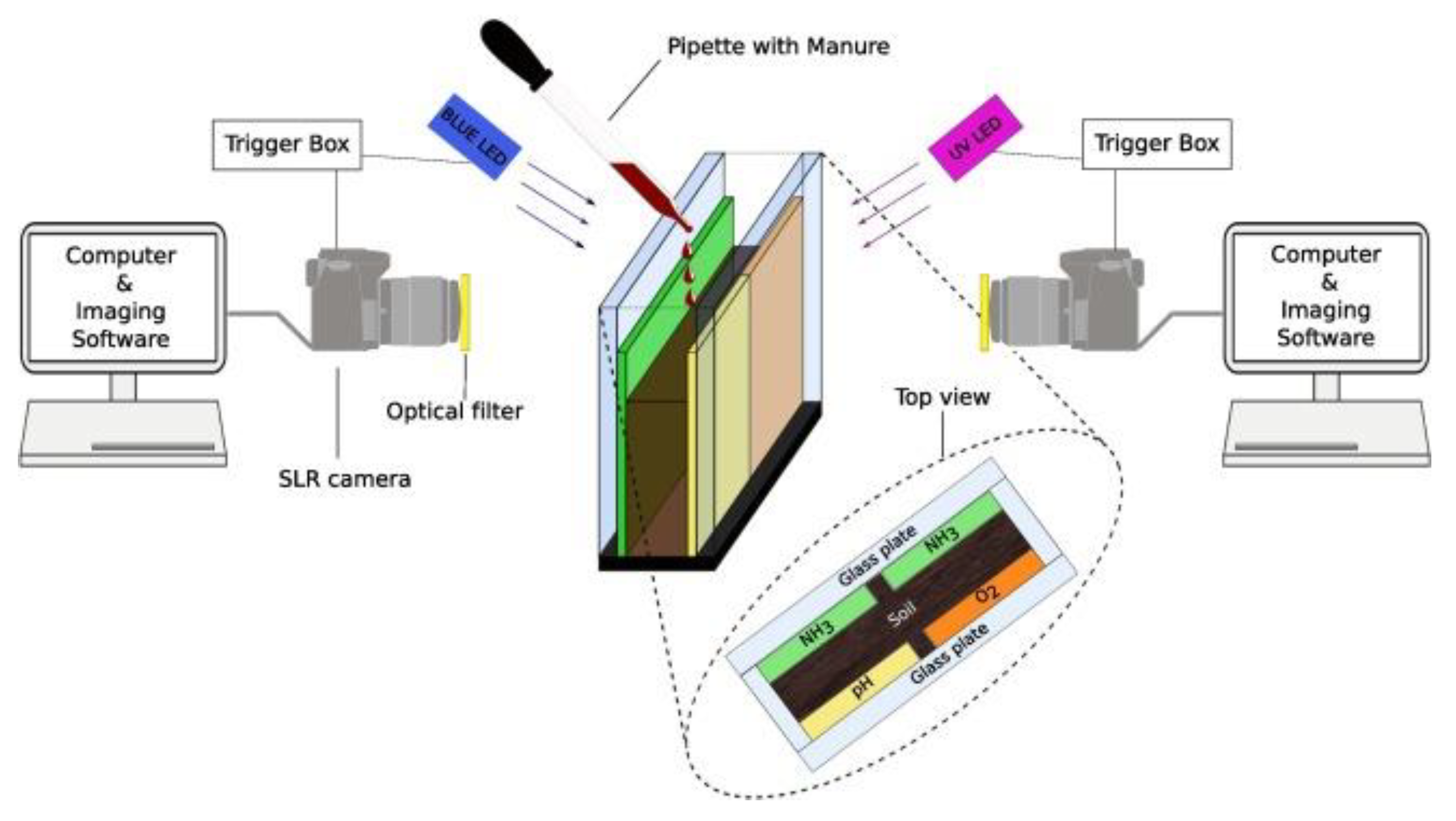 Chemosensors 12 00031 g020