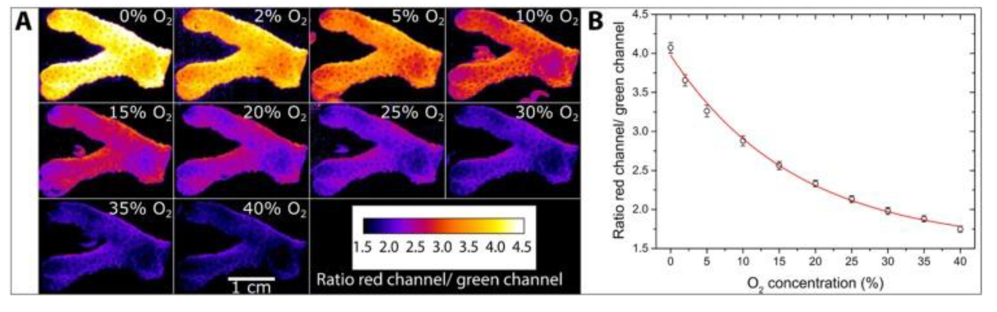 Chemosensors 12 00031 g021