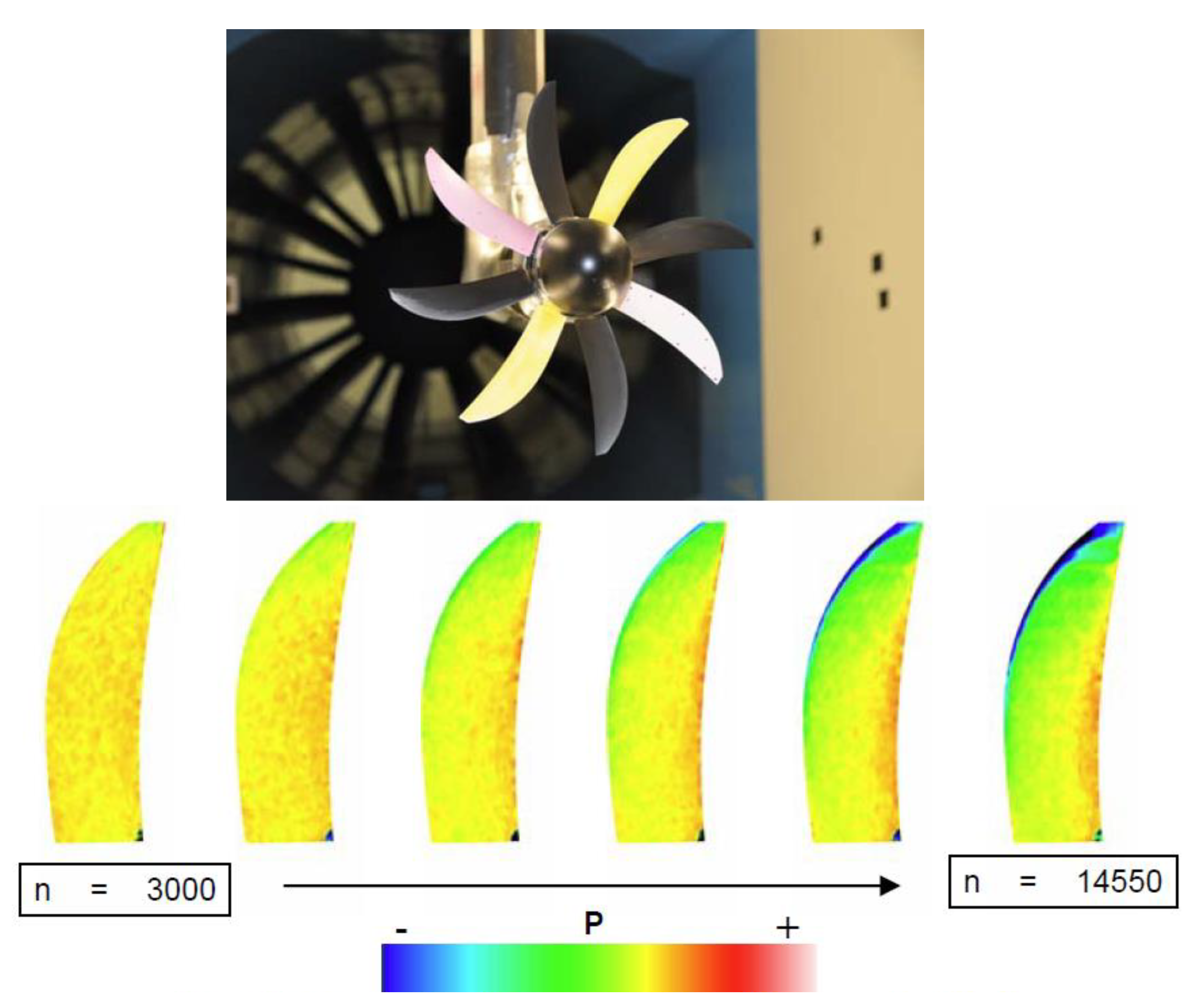Chemosensors 12 00031 g025