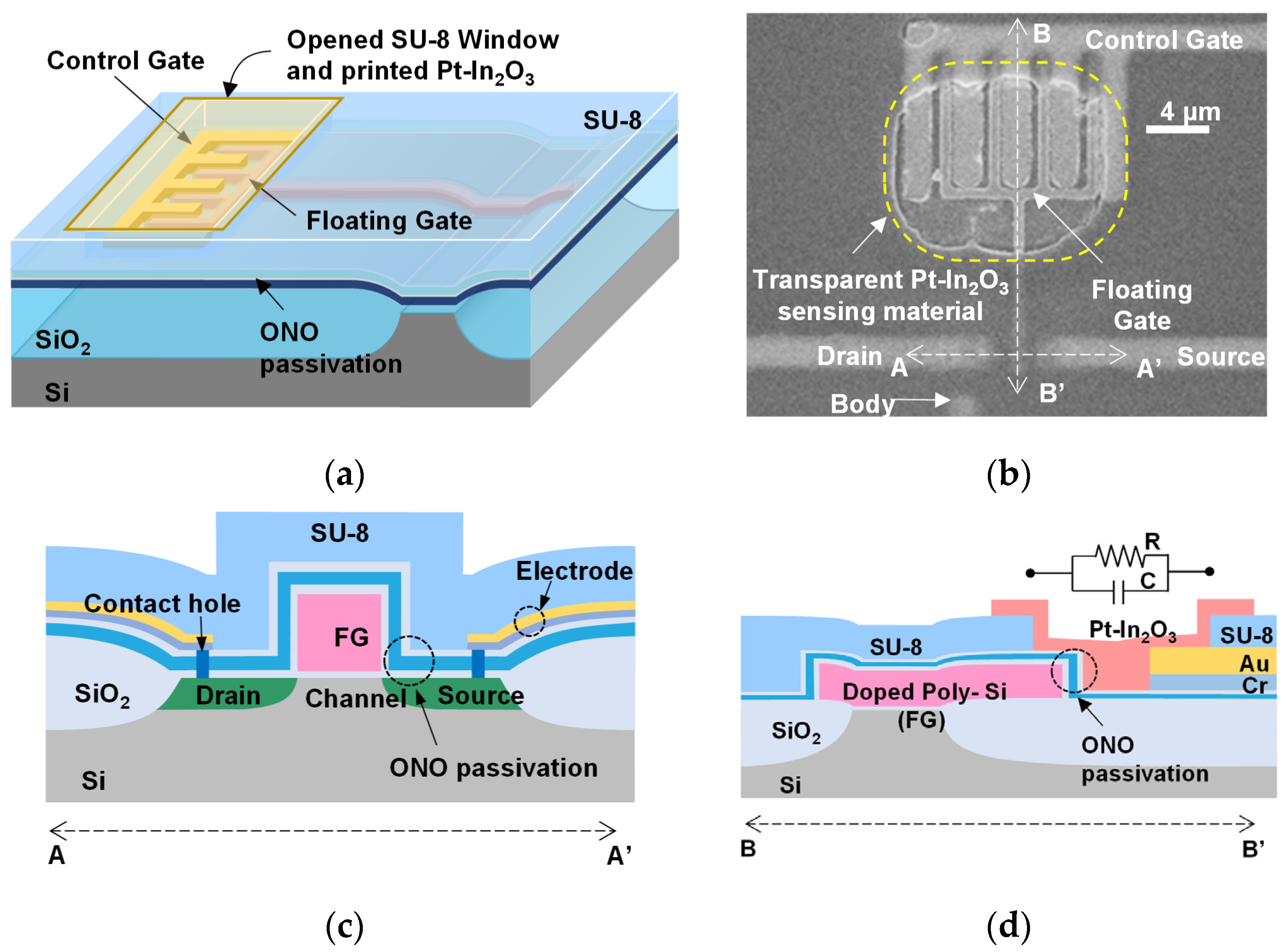 Chemosensors 12 00032 g001