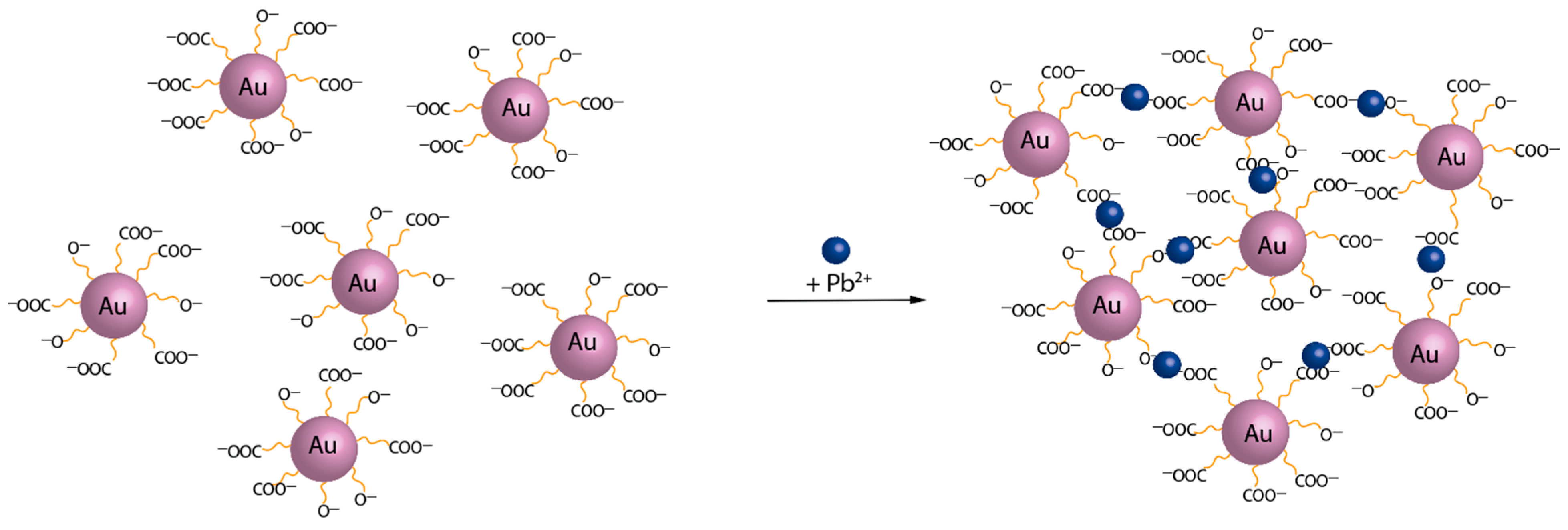 Chemosensors 12 00033 g004