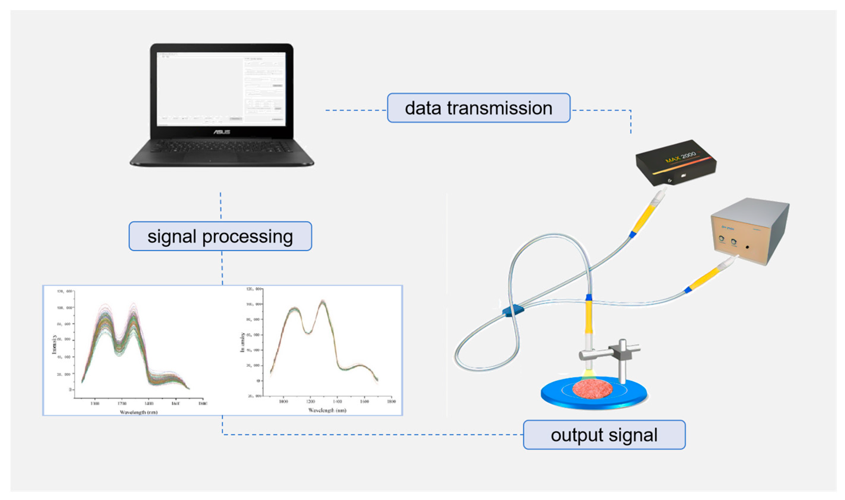 Chemosensors 12 00035 g003