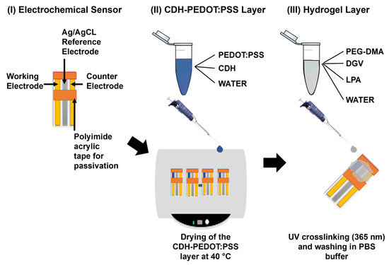 Chemosensors 12 00036 g001