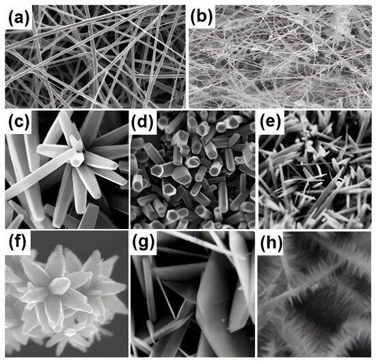 Chemosensors 12 00042 g001