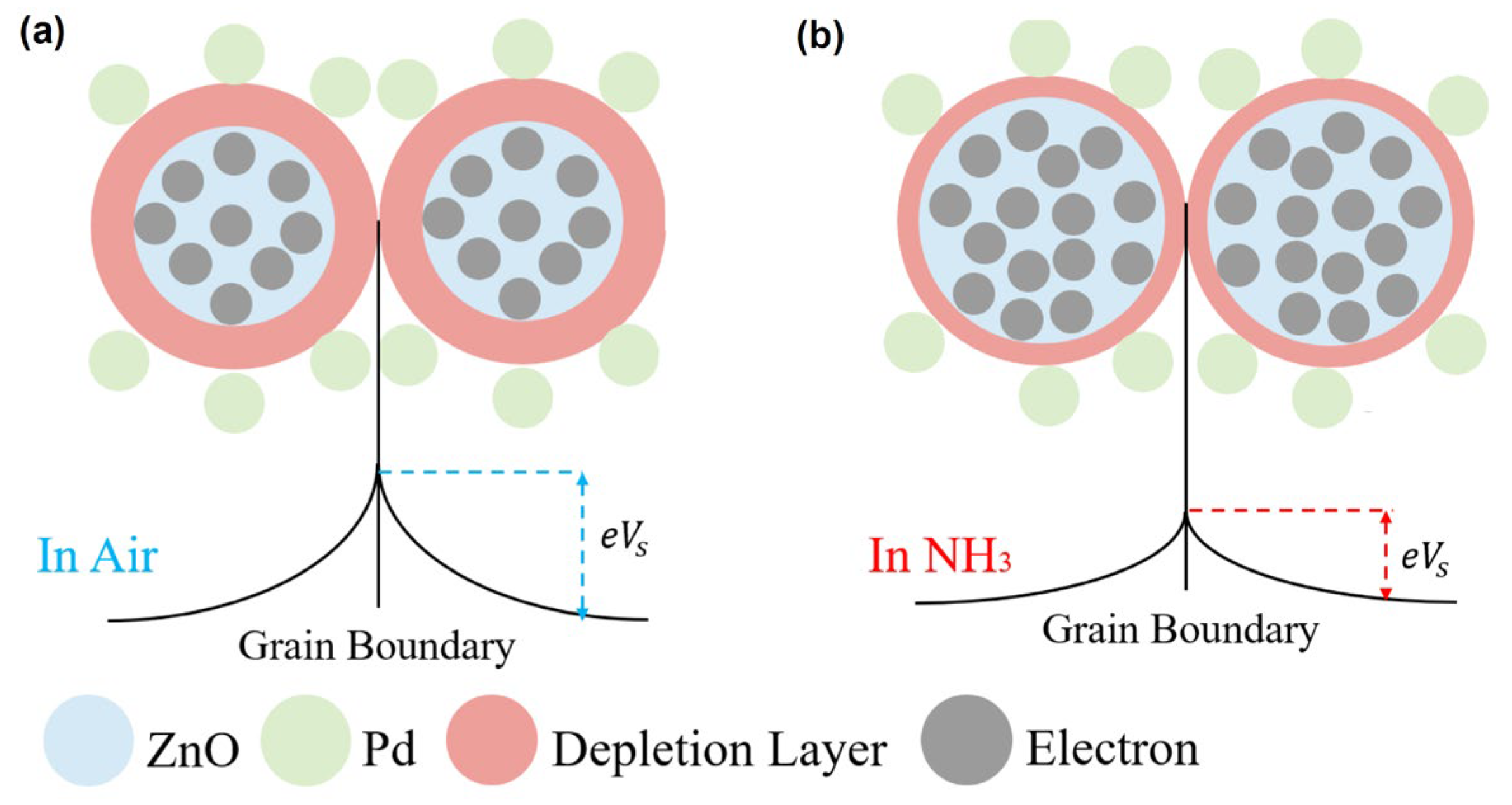 Chemosensors 12 00043 g007