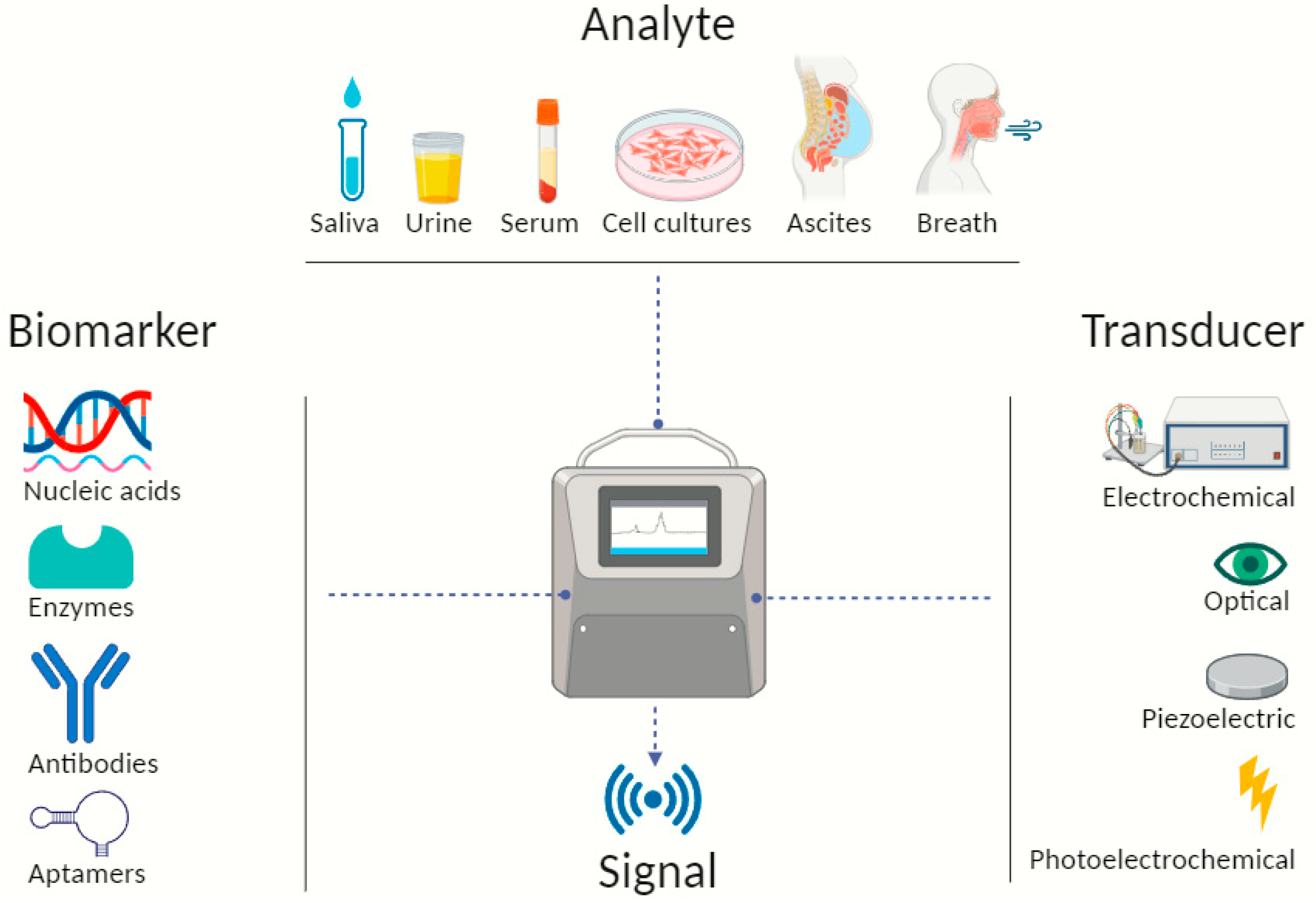 Chemosensors 12 00044 g001