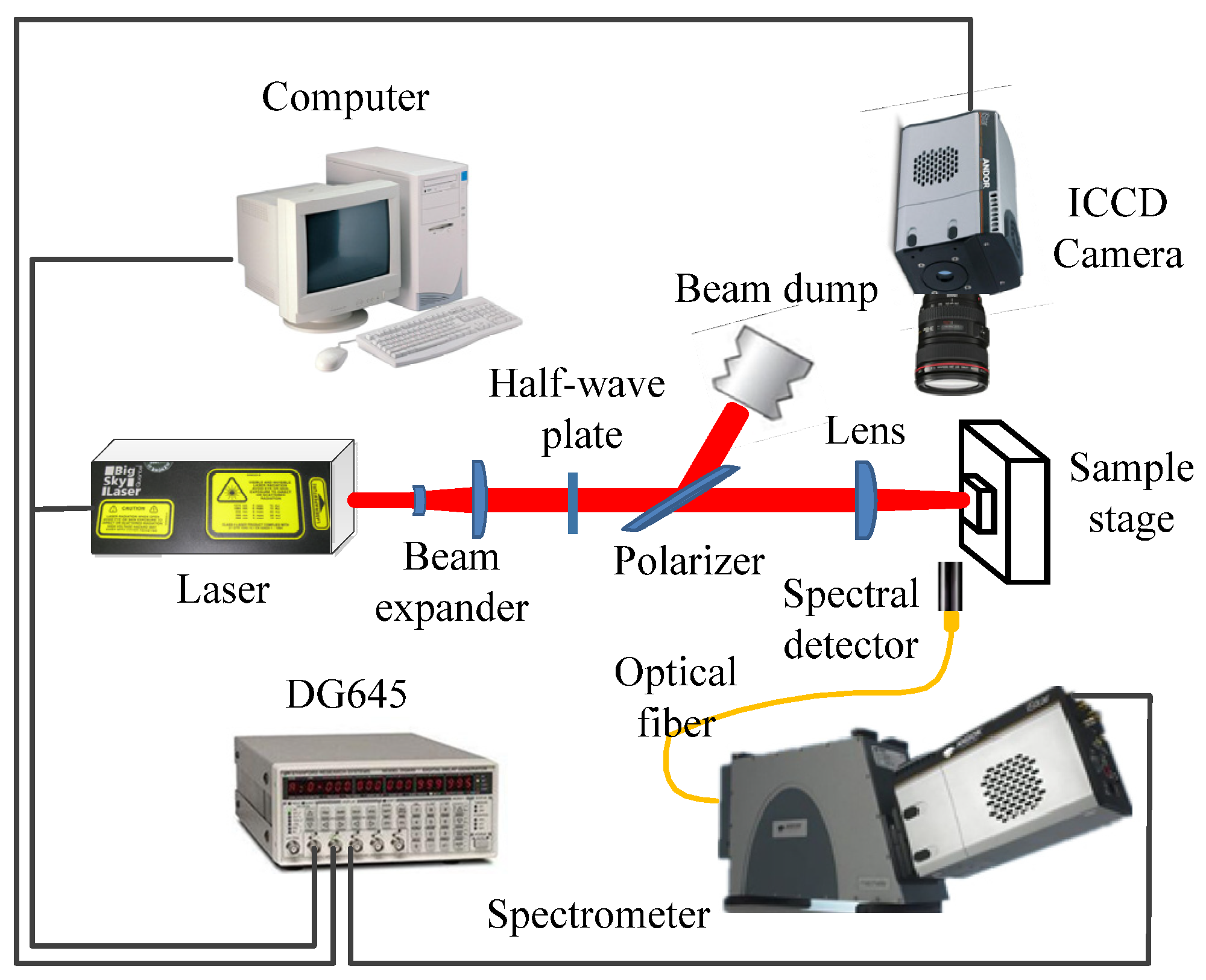Chemosensors 12 00049 g001