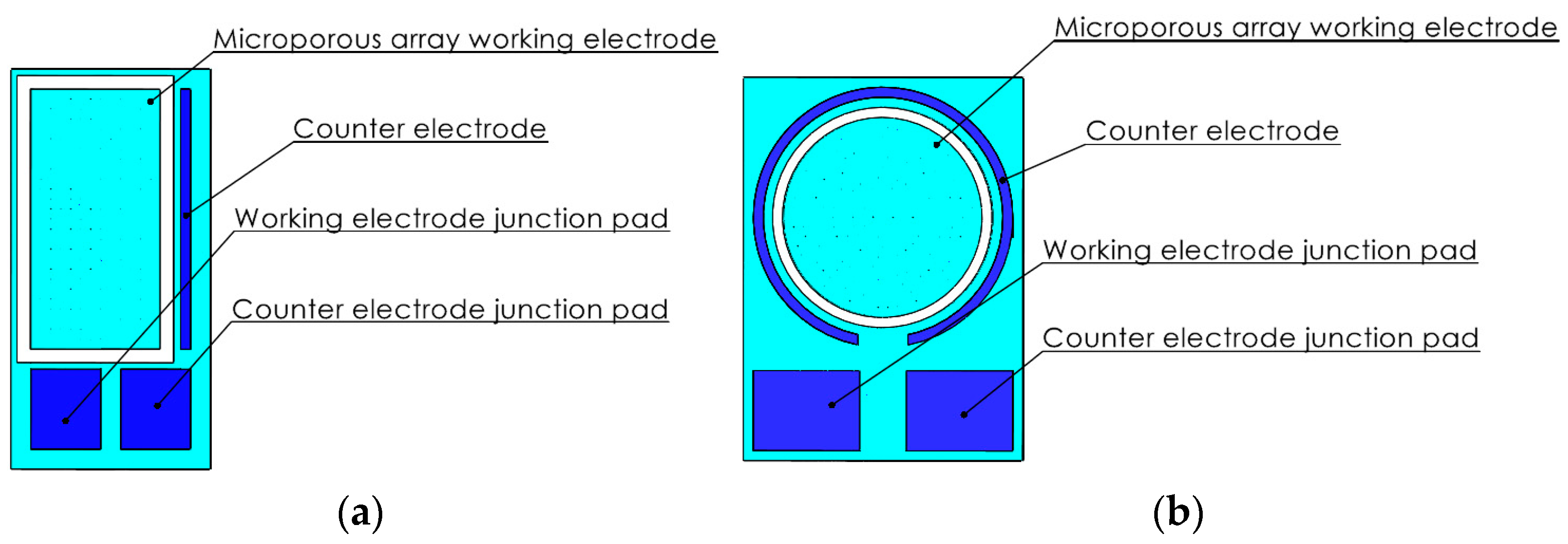 Chemosensors 12 00051 g001a