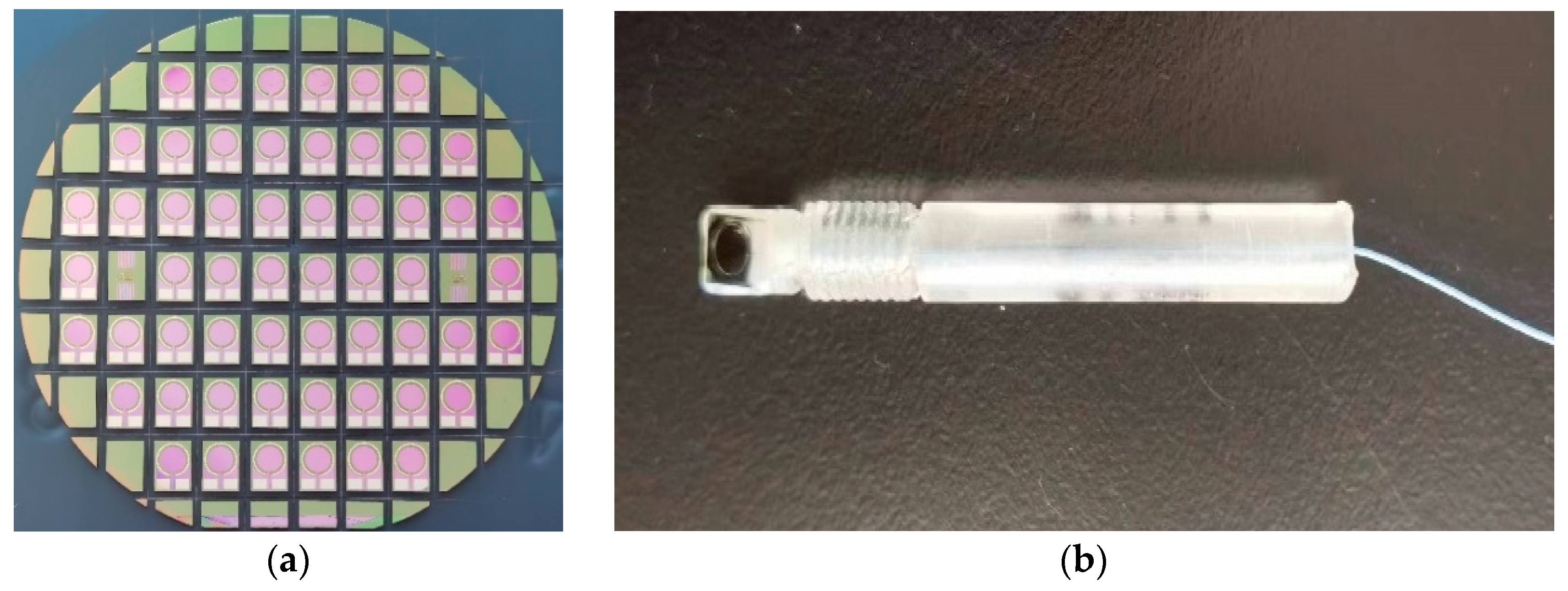 Chemosensors 12 00051 g003