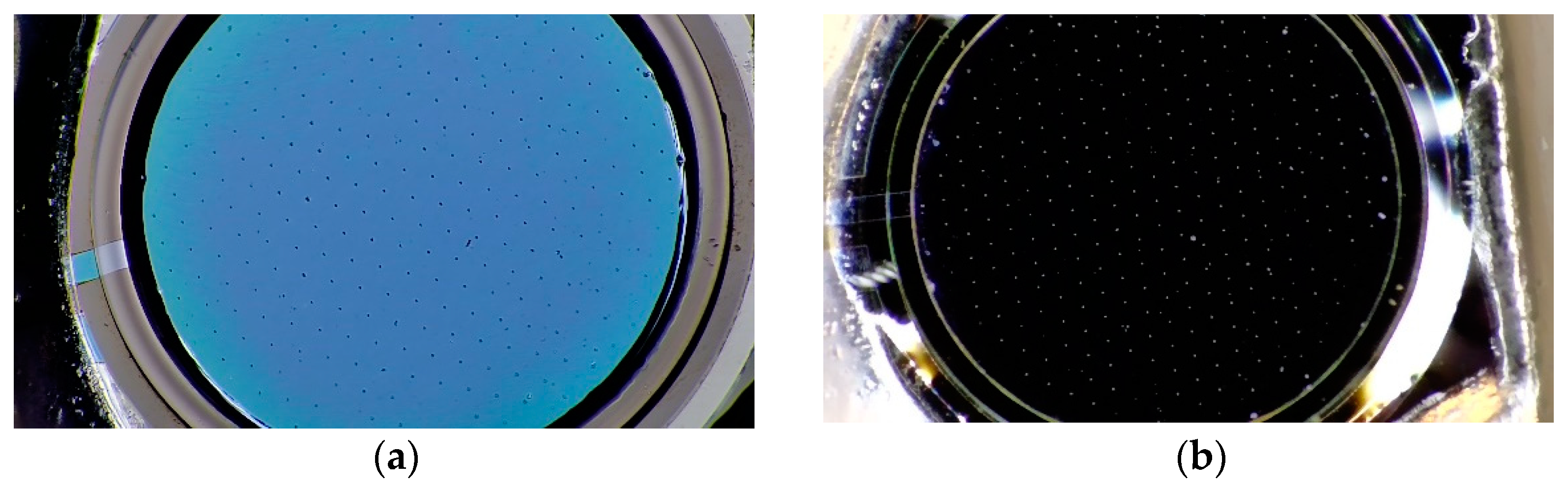 Chemosensors 12 00051 g004