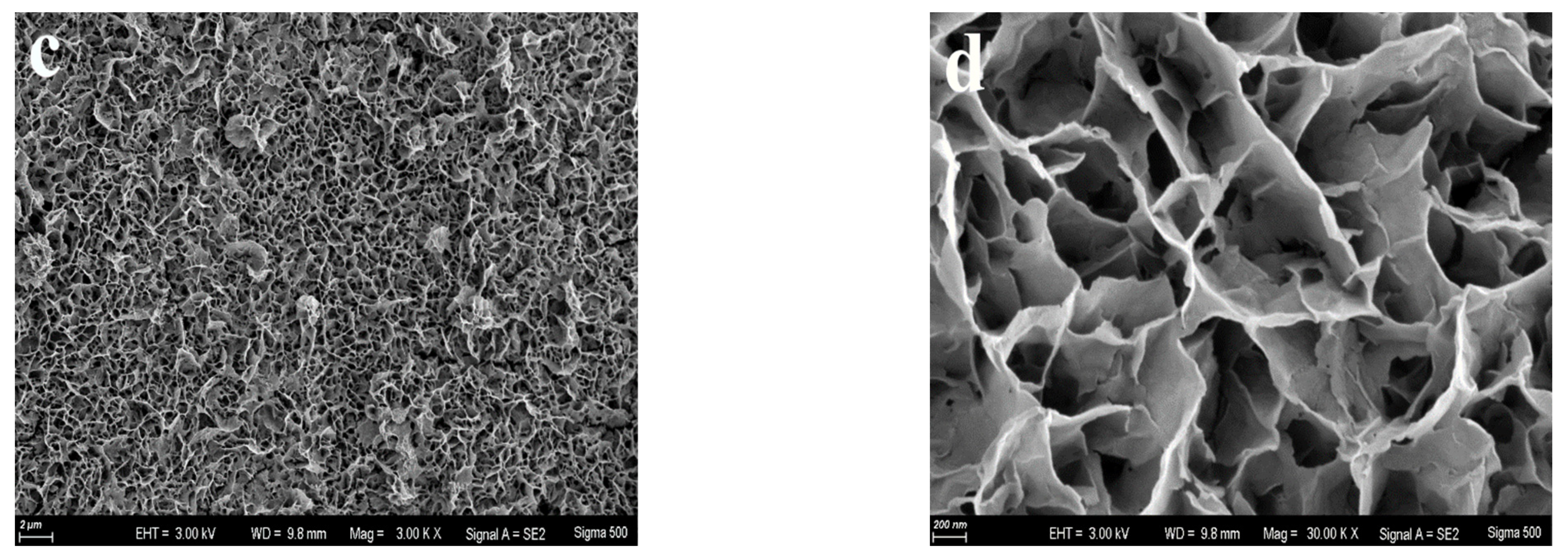 Chemosensors 12 00053 g004b