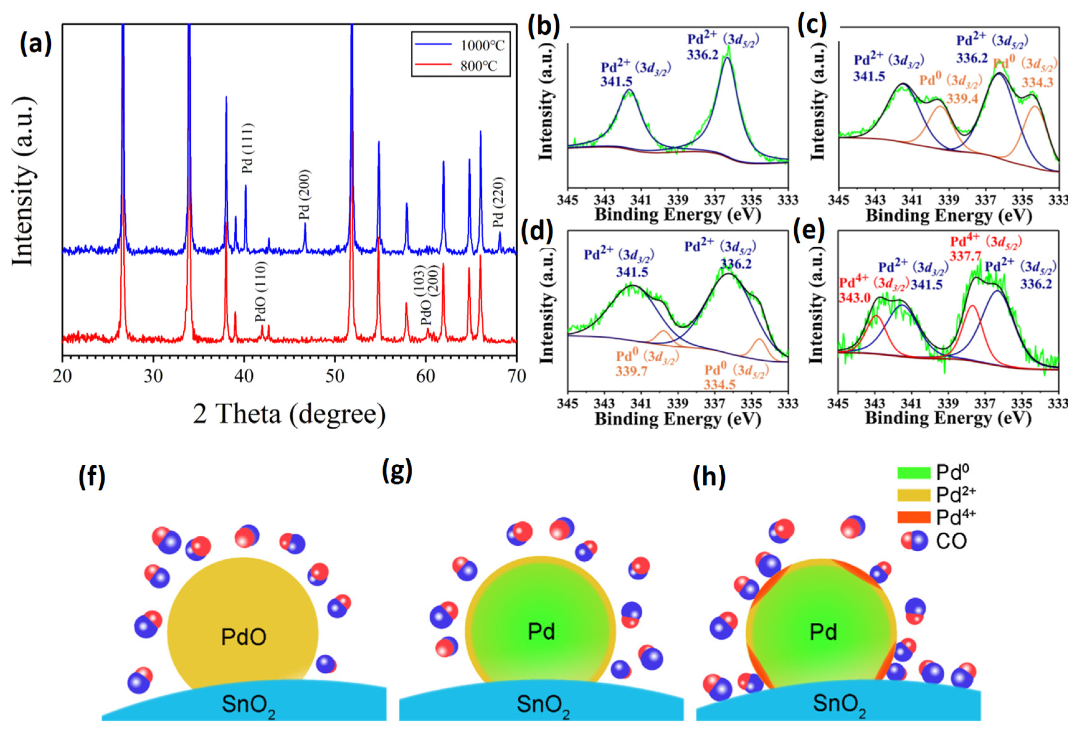 Chemosensors 12 00055 g005