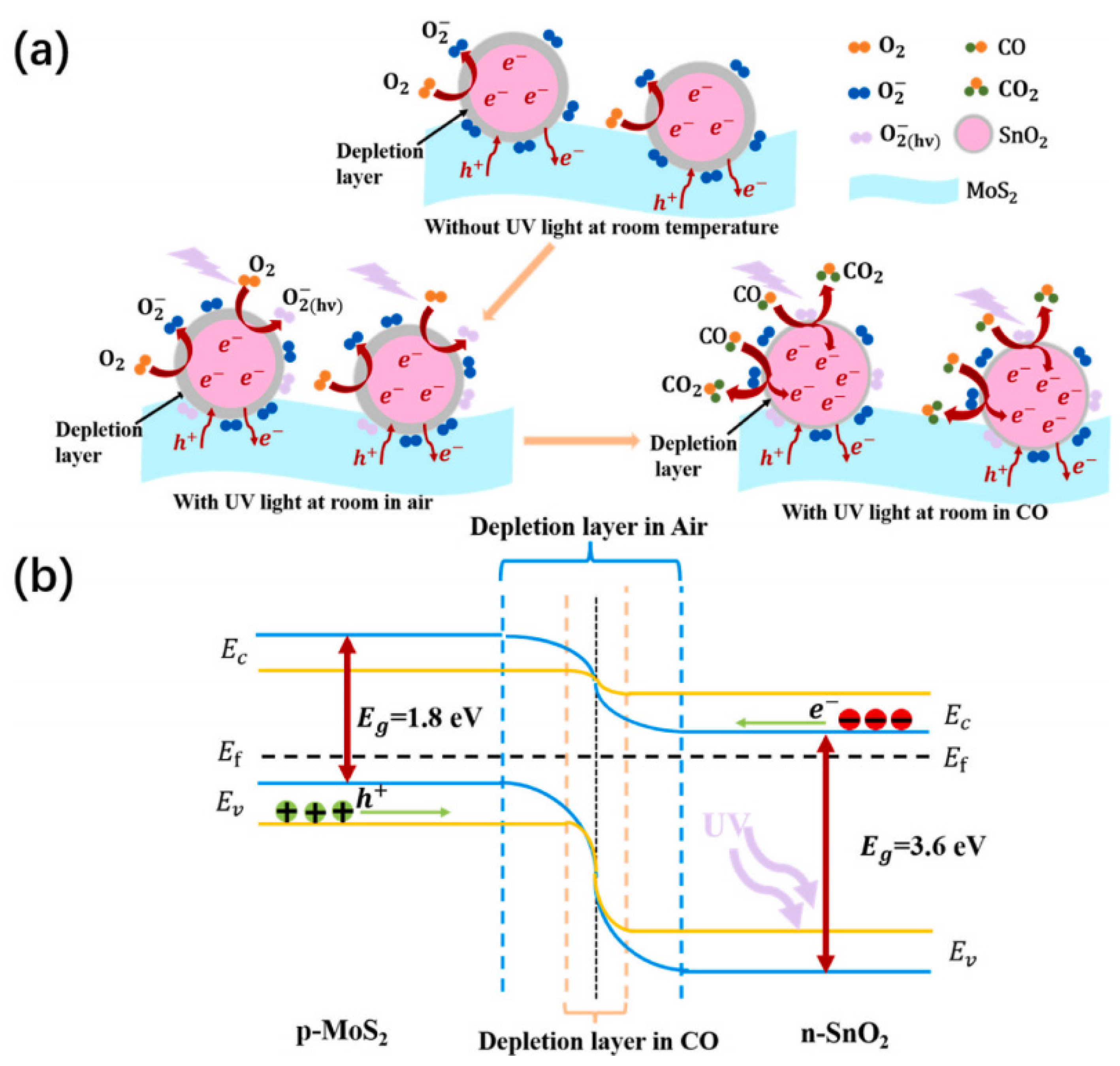 Chemosensors 12 00055 g011