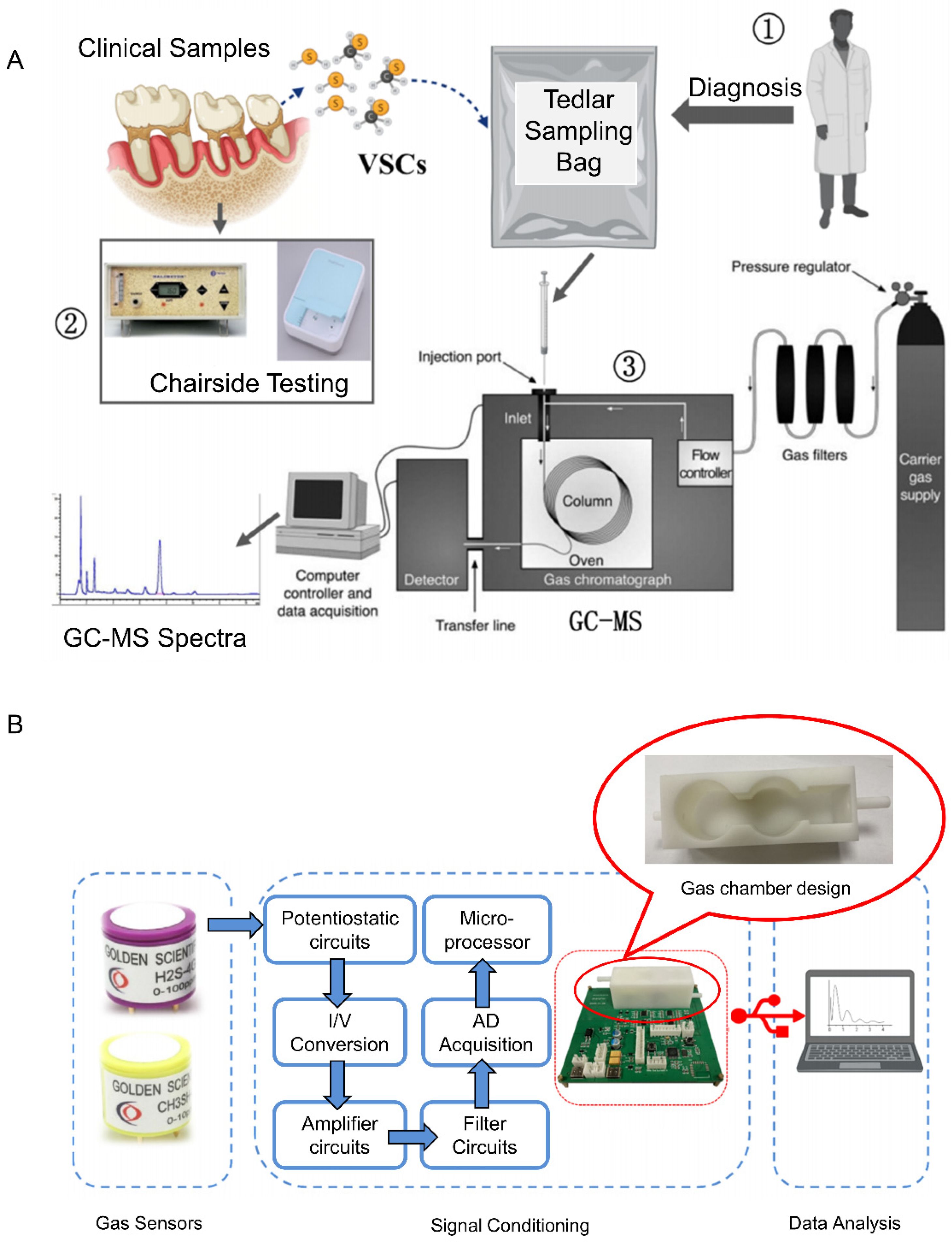 Chemosensors 12 00057 g004