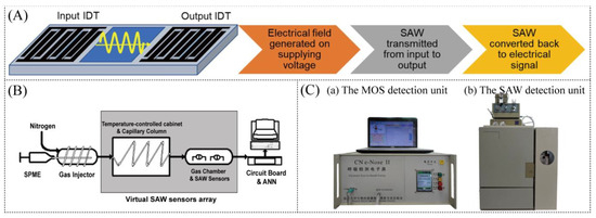 Chemosensors 12 00057 g005