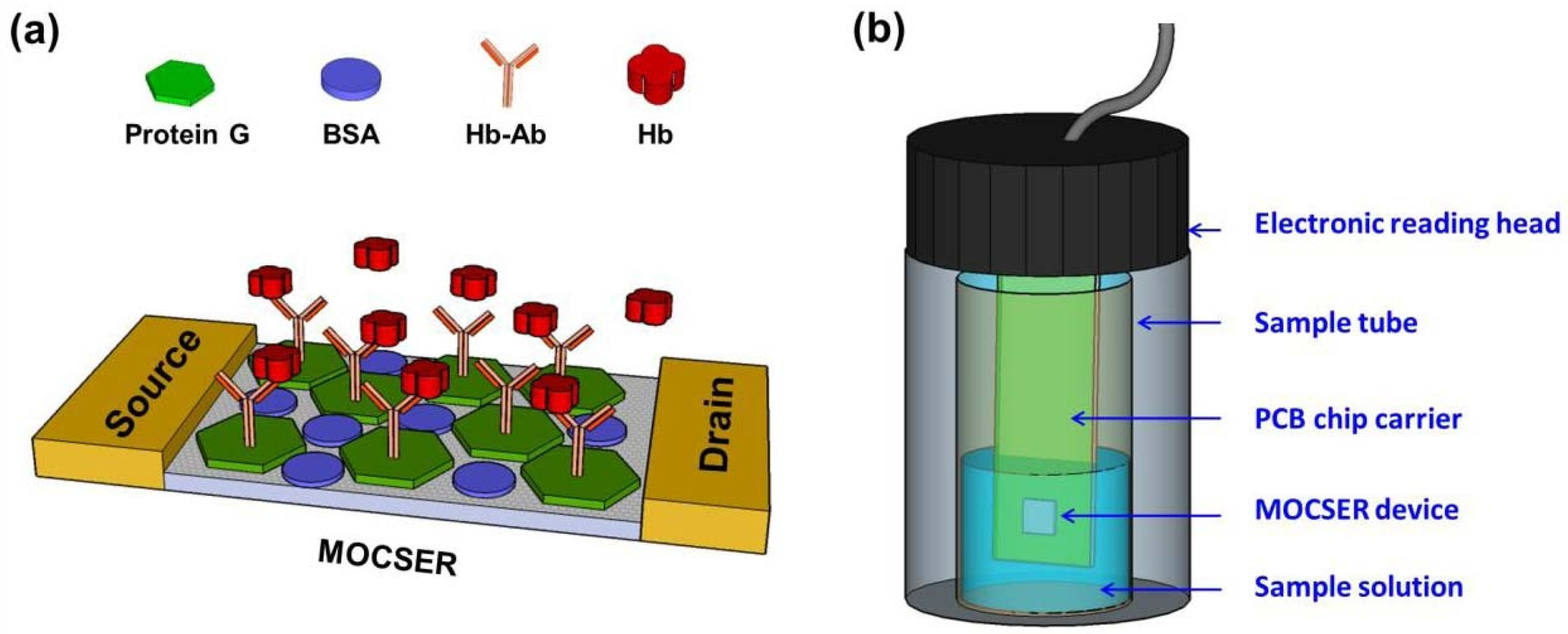 Chemosensors 12 00057 g008