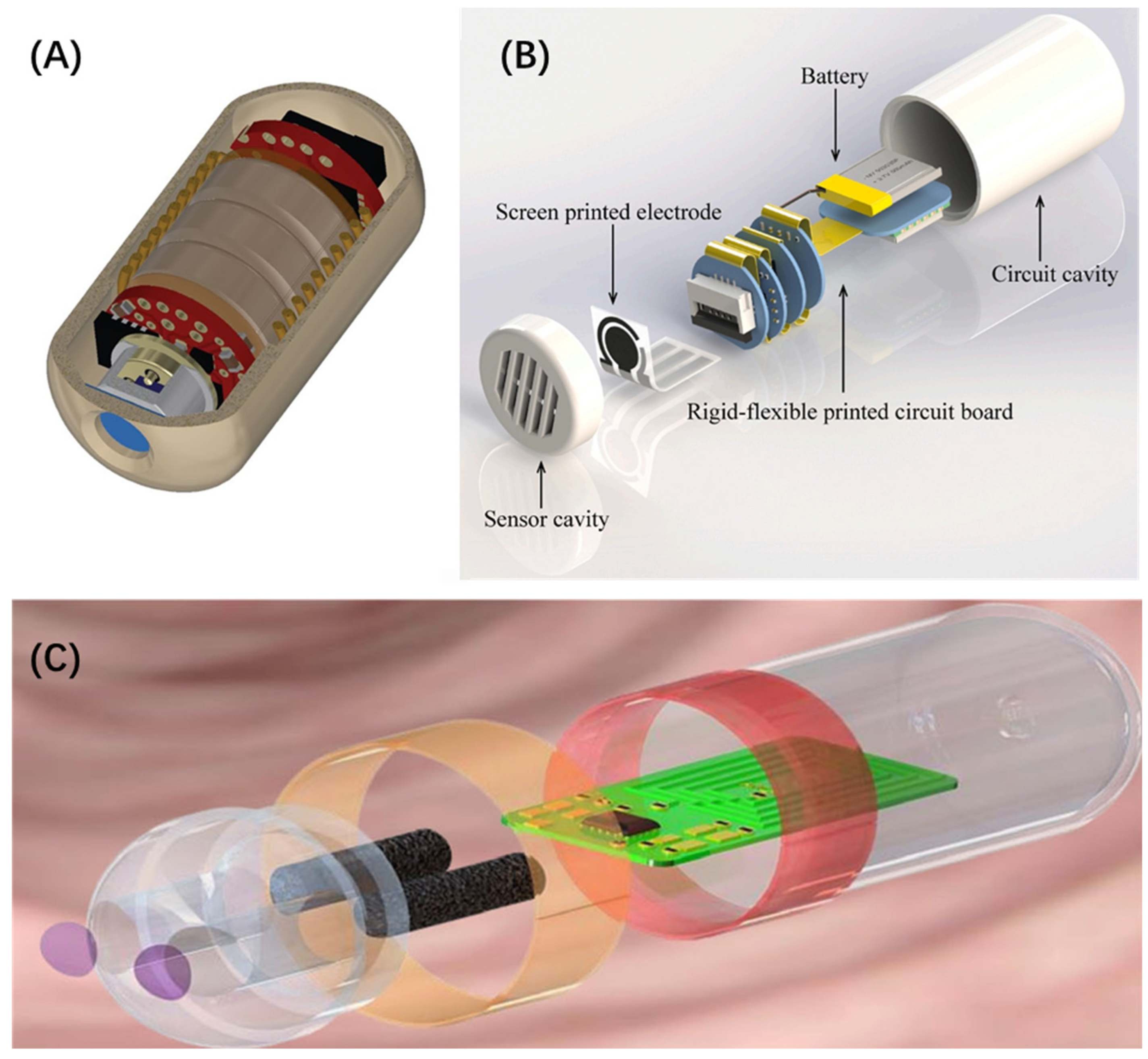 Chemosensors 12 00057 g010