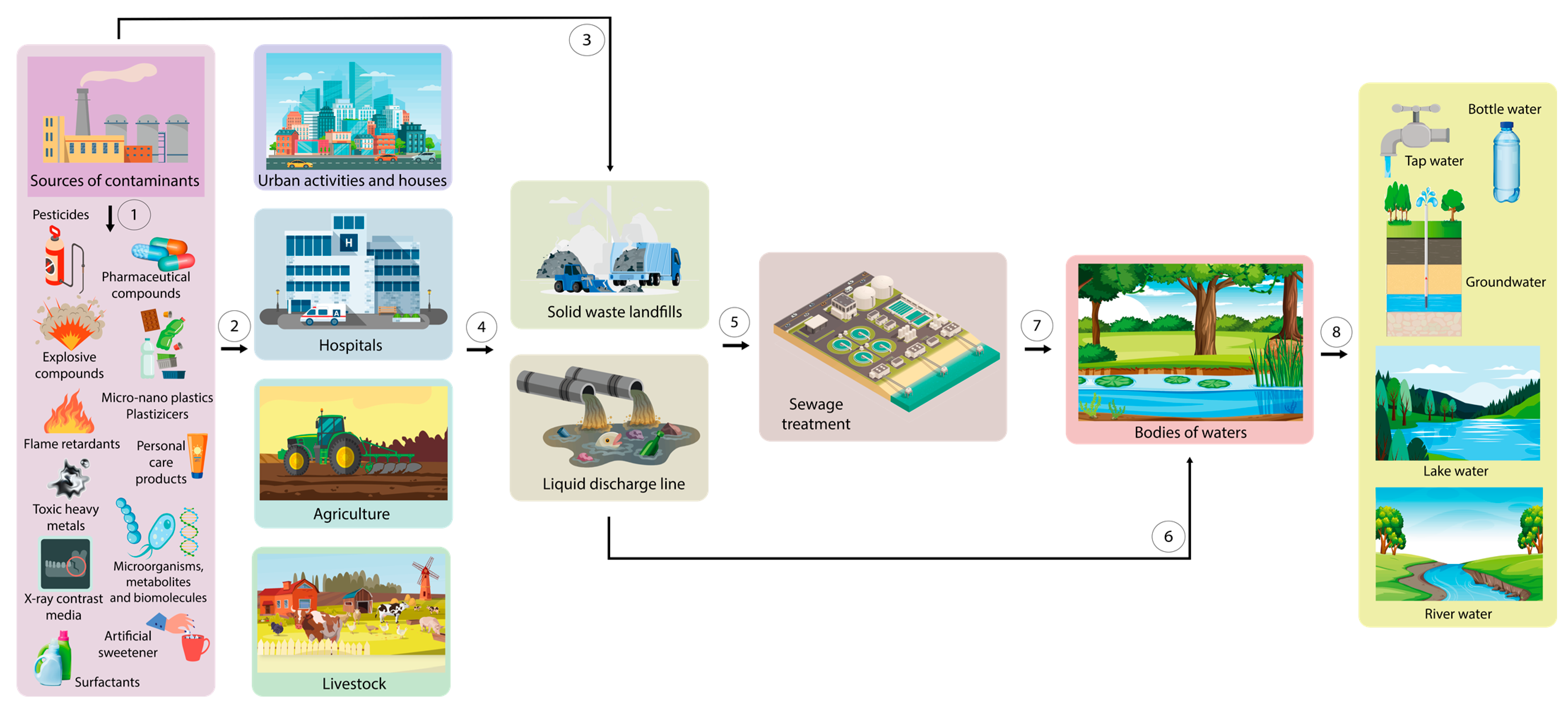 Chemosensors 12 00059 g001