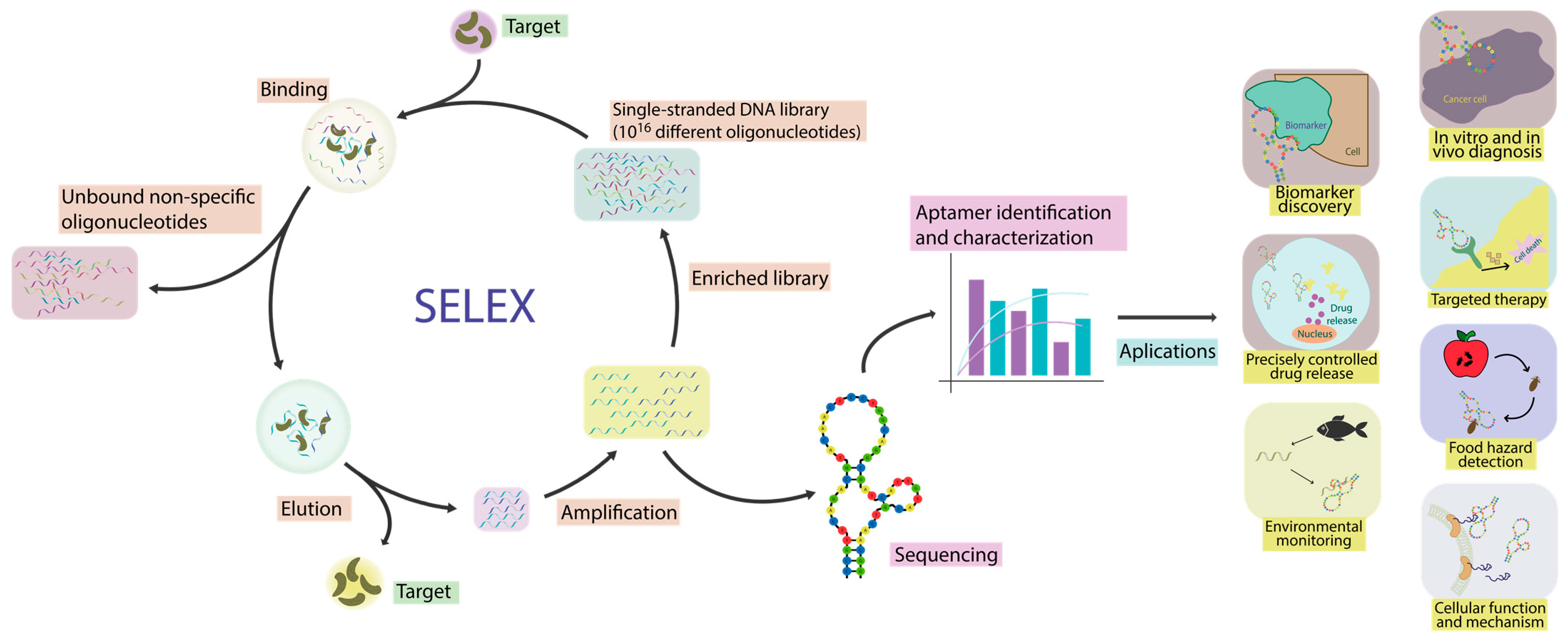 Chemosensors 12 00059 g004