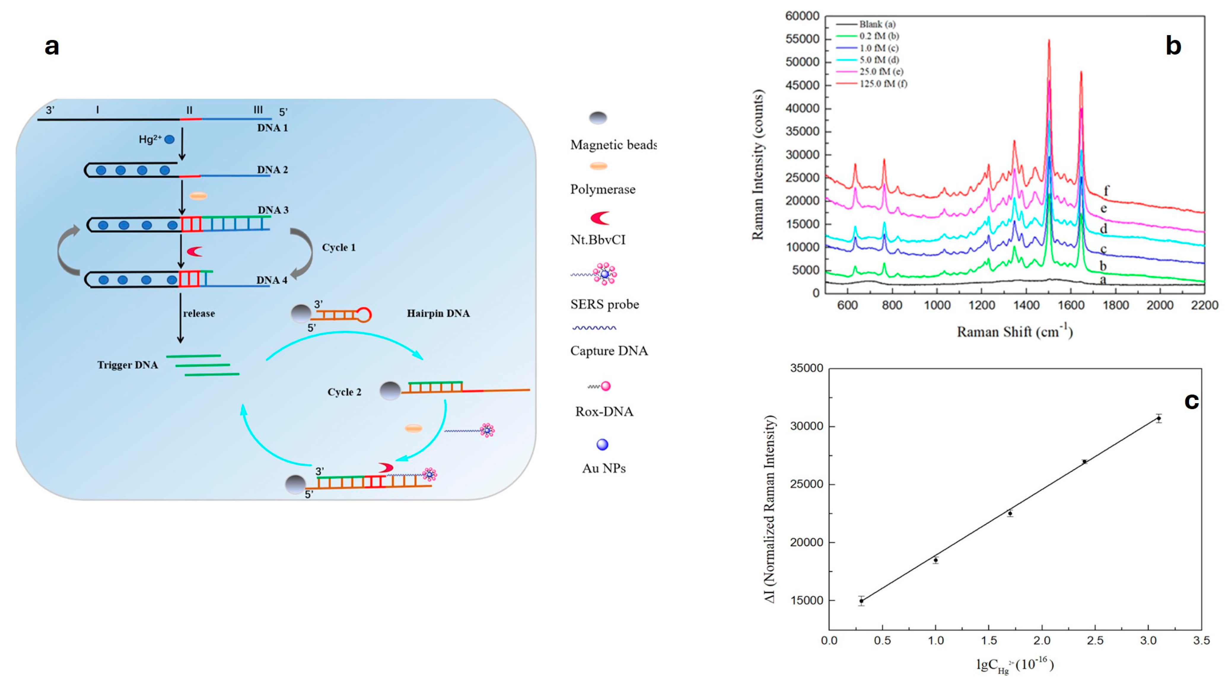 Chemosensors 12 00059 g008