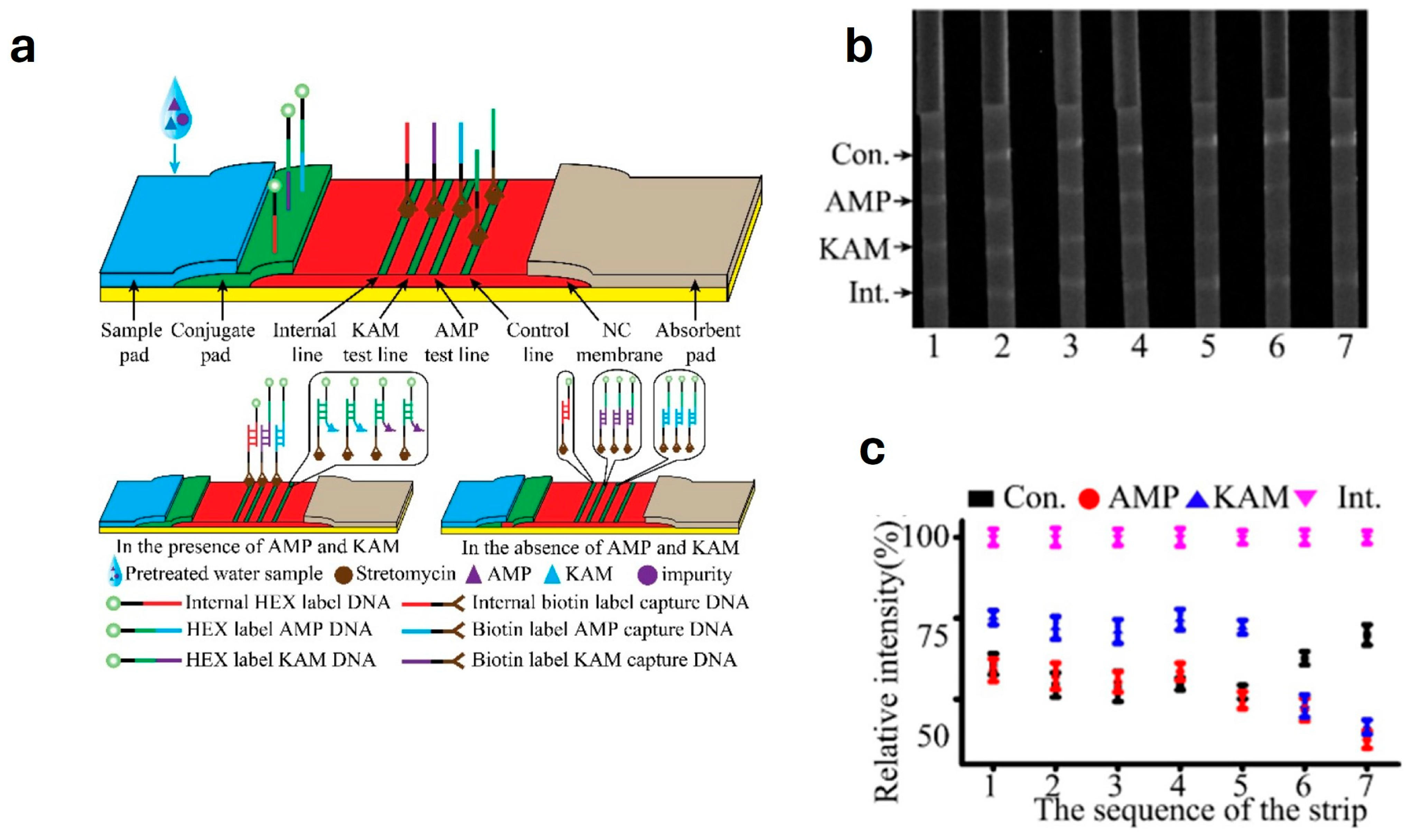 Chemosensors 12 00059 g010