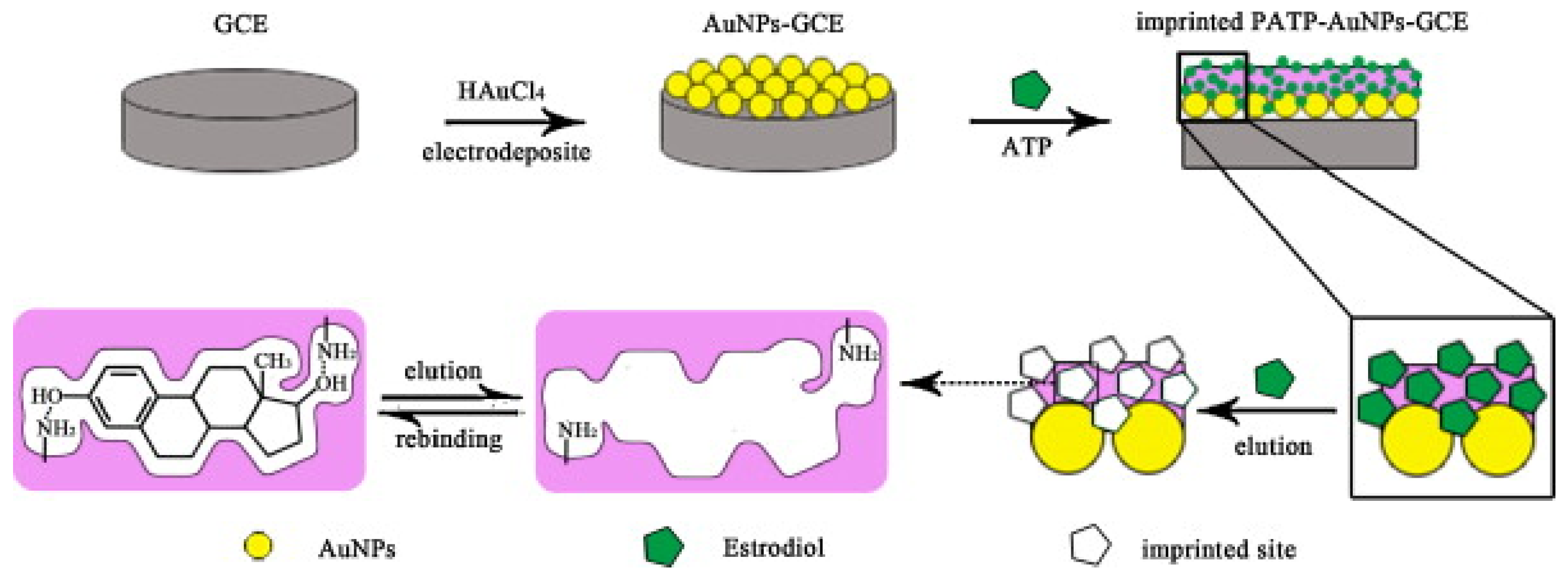 Chemosensors 12 00061 g004