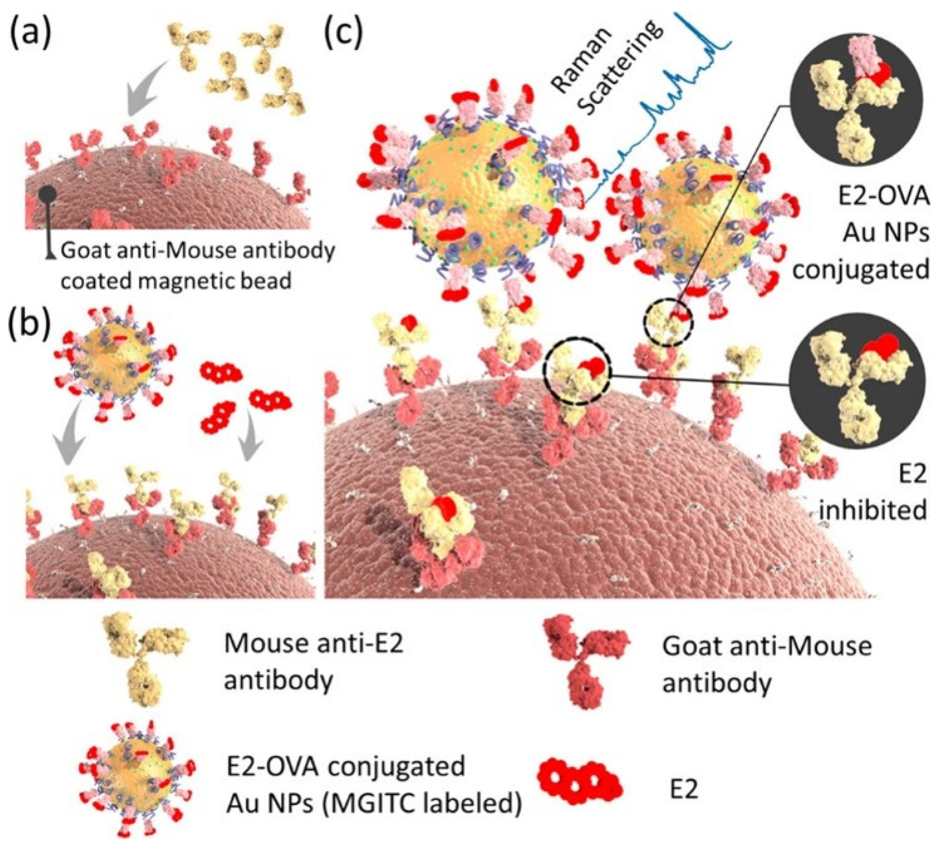 Chemosensors 12 00061 g006