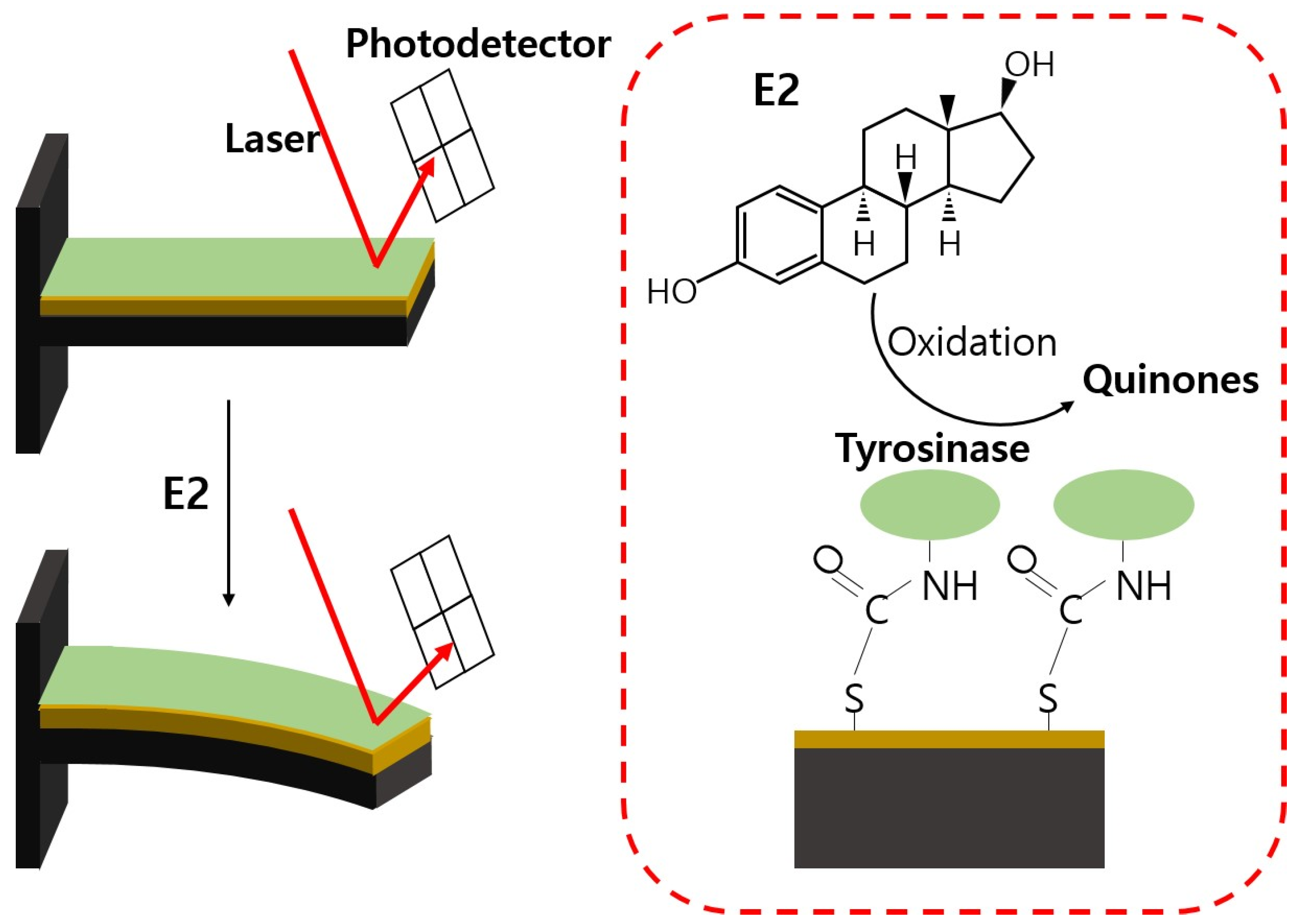 Chemosensors 12 00061 g010