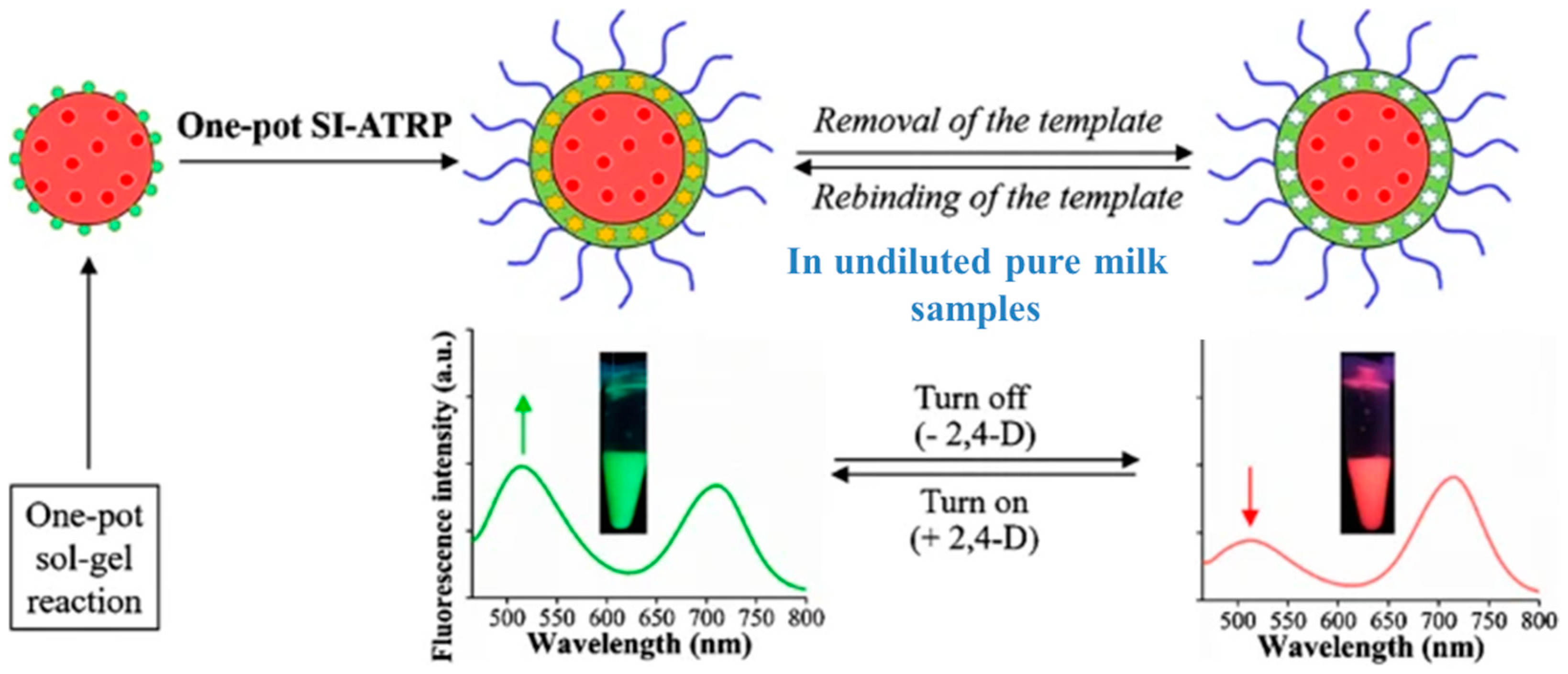 Chemosensors 12 00072 g009 Chemosensors 12 00072 g009