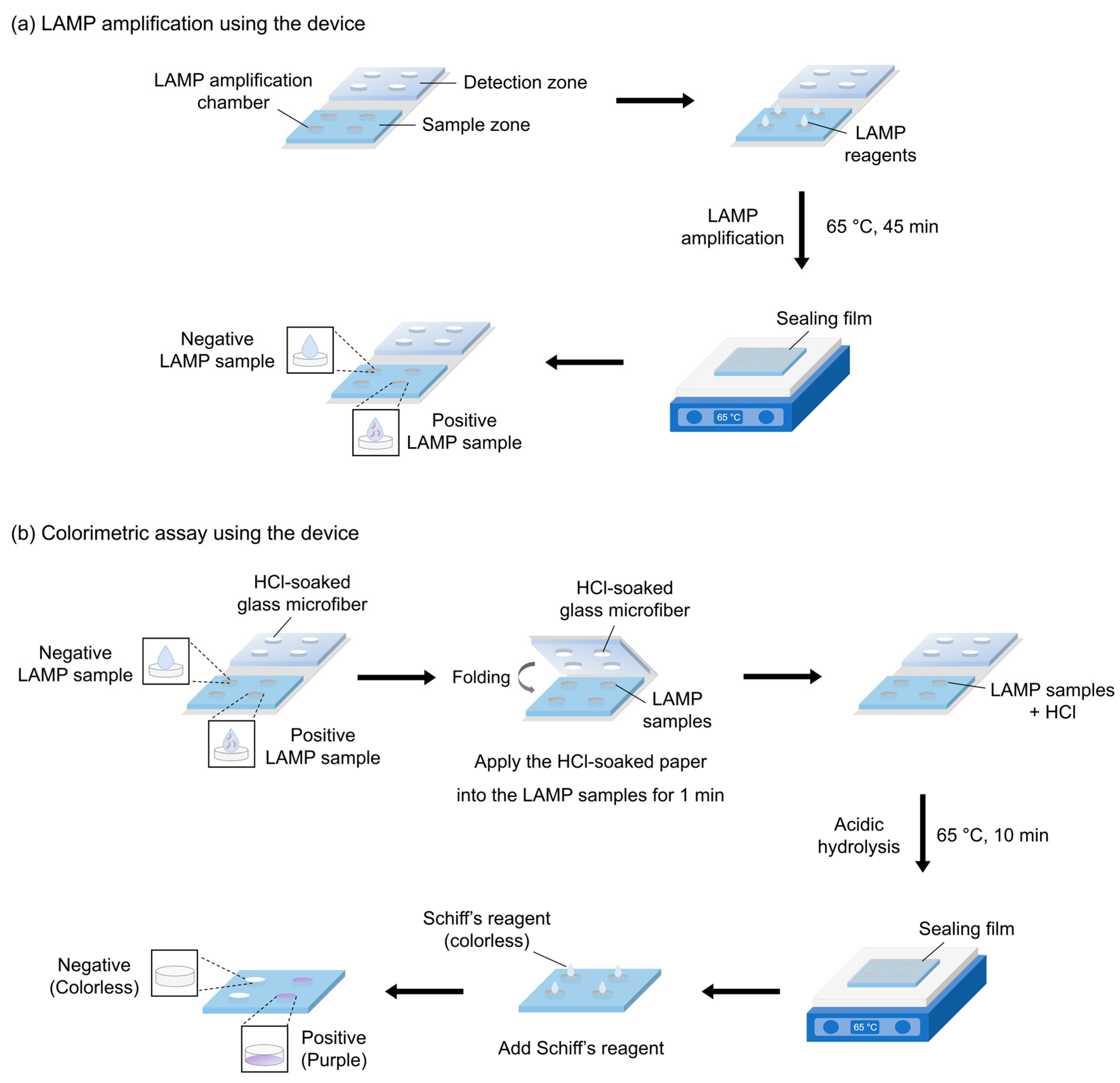 Chemosensors 12 00075 g002