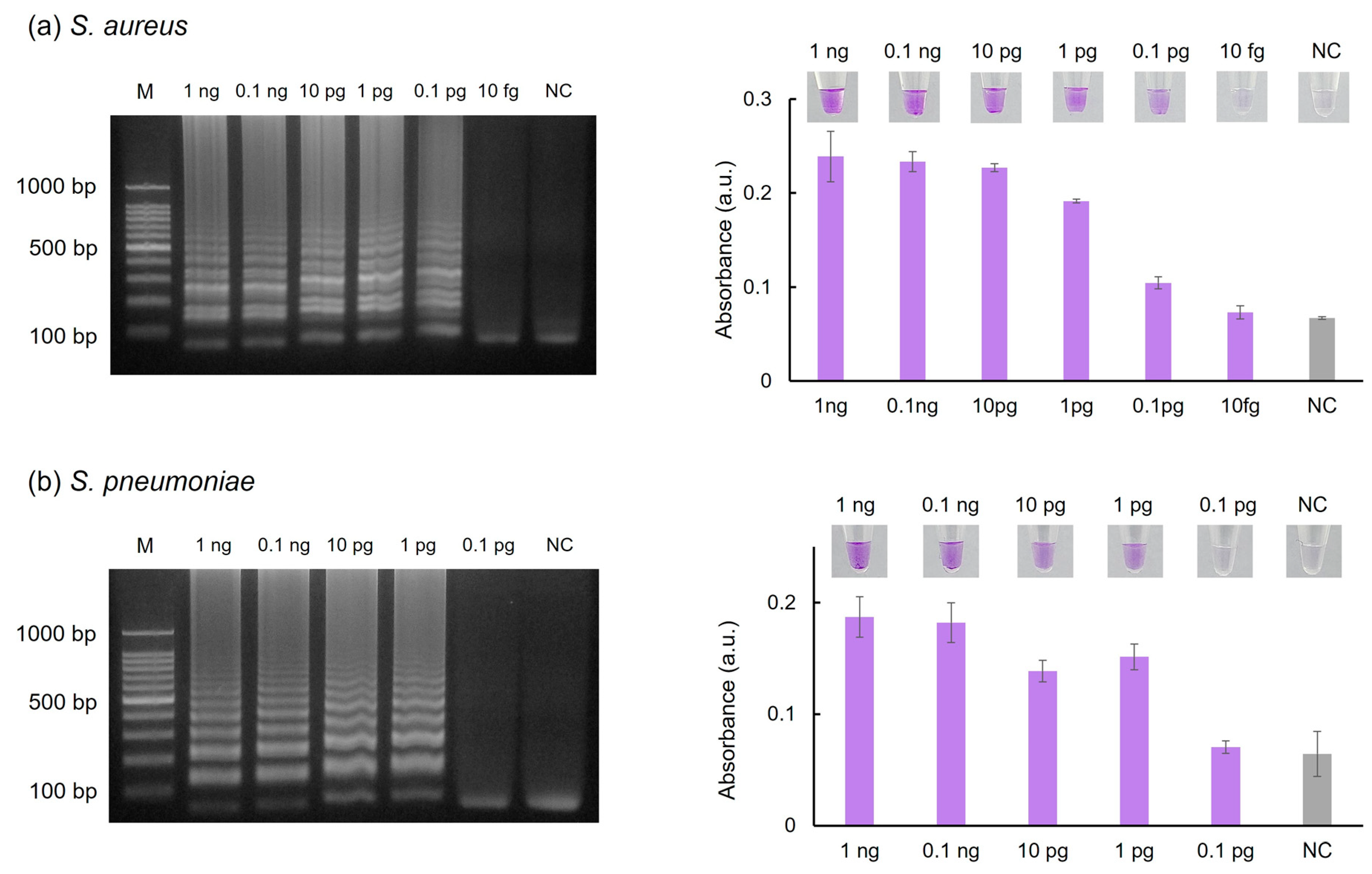 Chemosensors 12 00075 g006