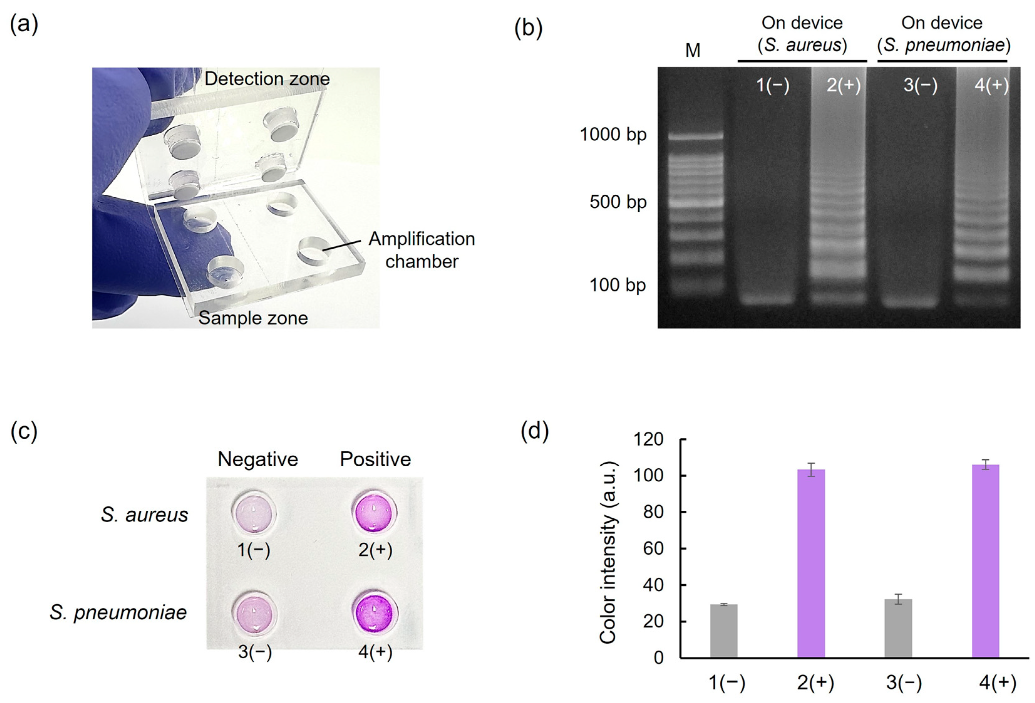 Chemosensors 12 00075 g009