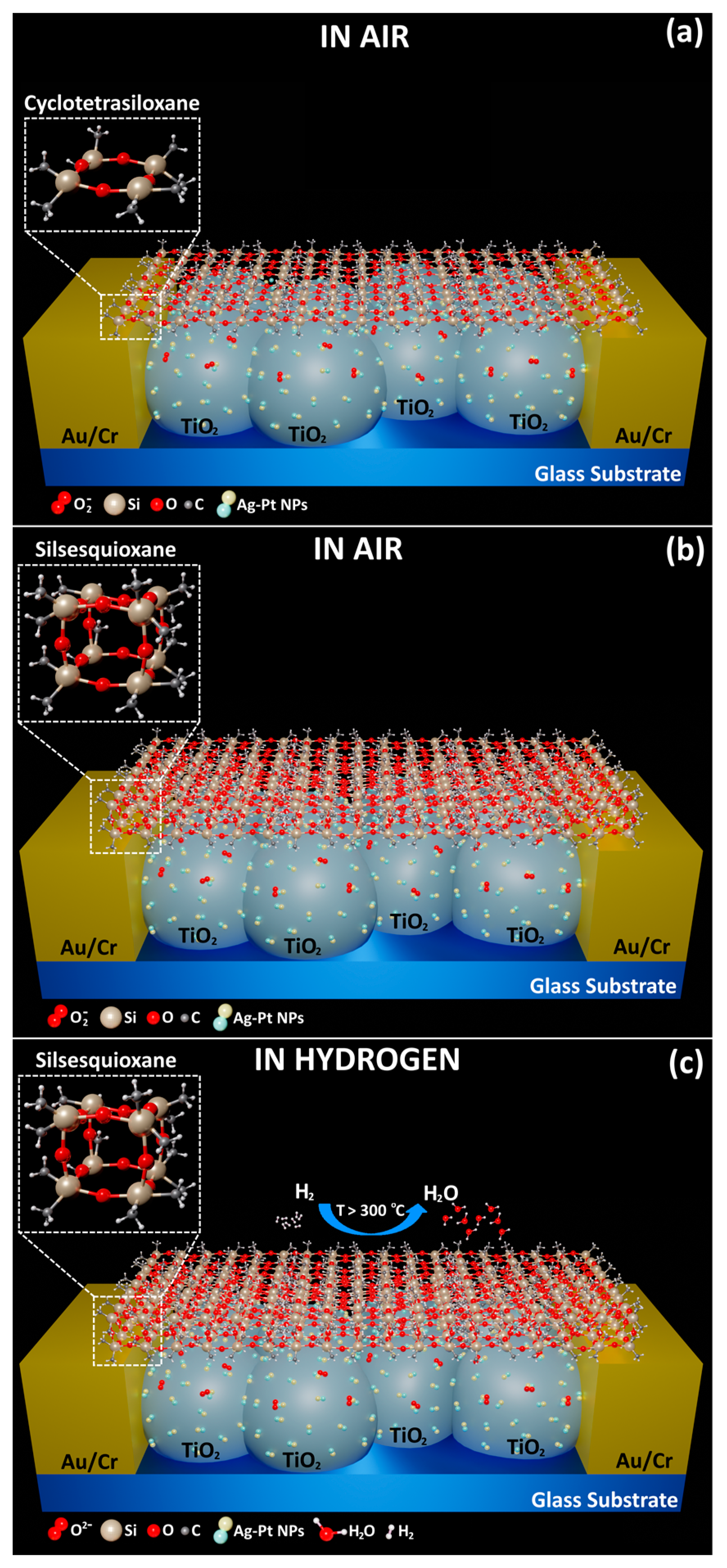 Chemosensors 12 00076 g008