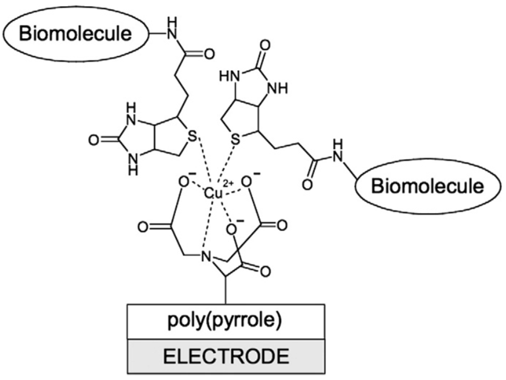 Chemosensors 12 00081 g003