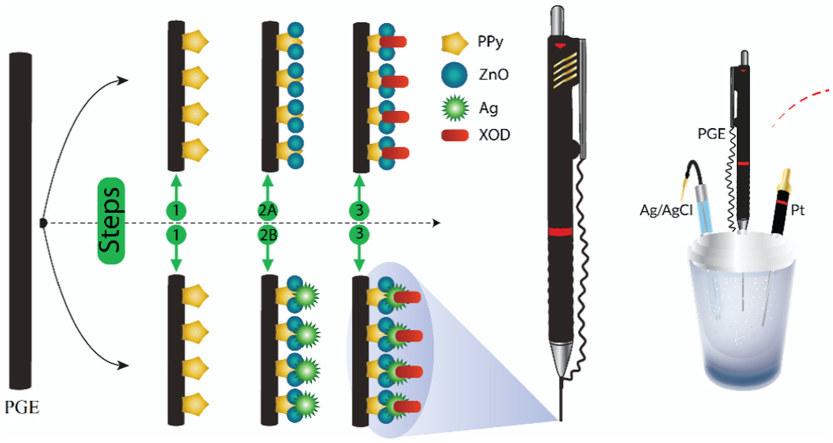 Chemosensors 12 00081 g009