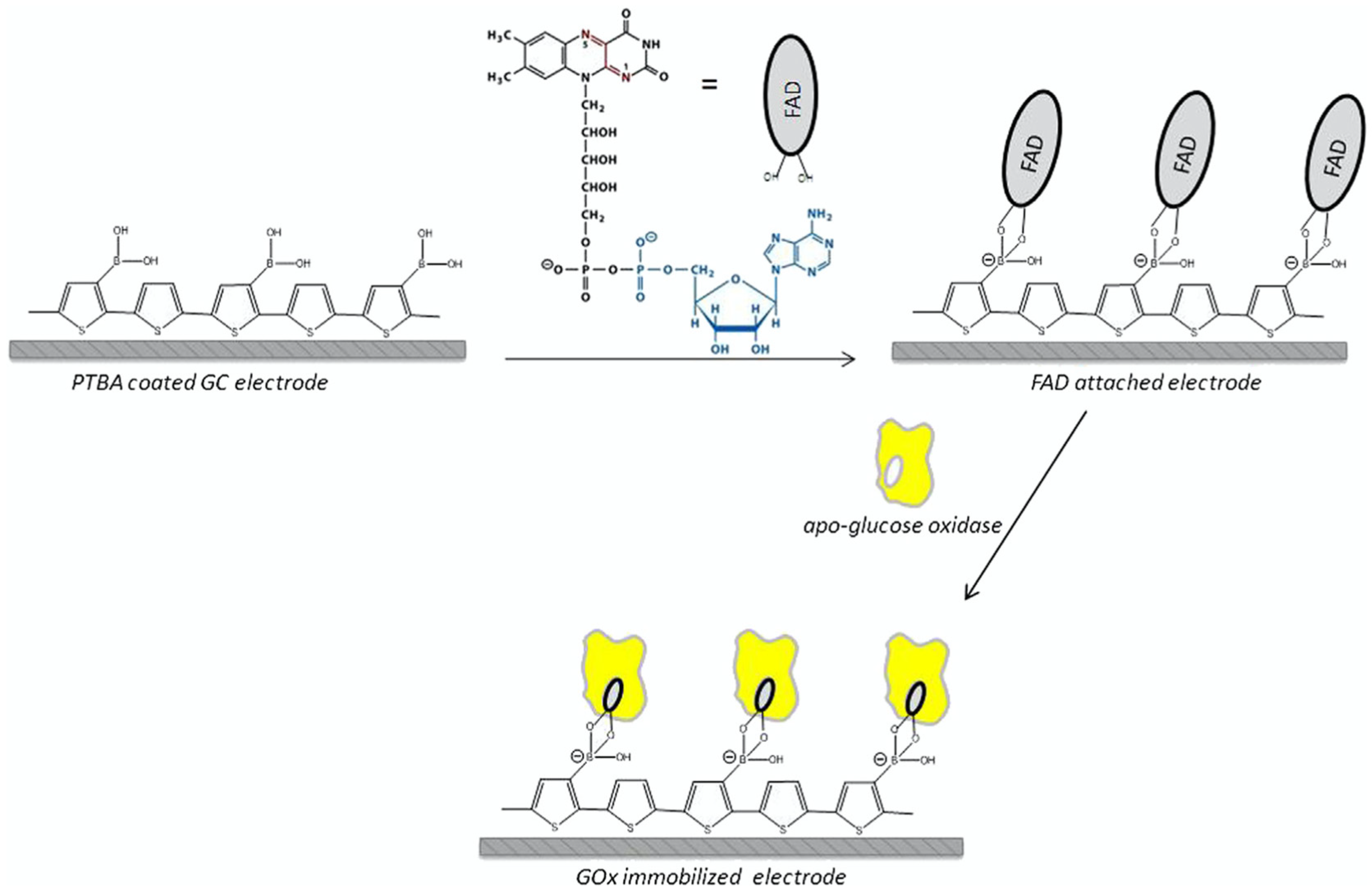 Chemosensors 12 00081 g011