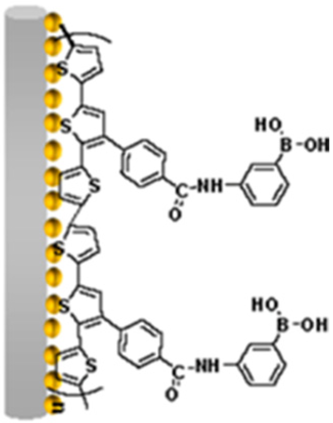 Chemosensors 12 00081 g020