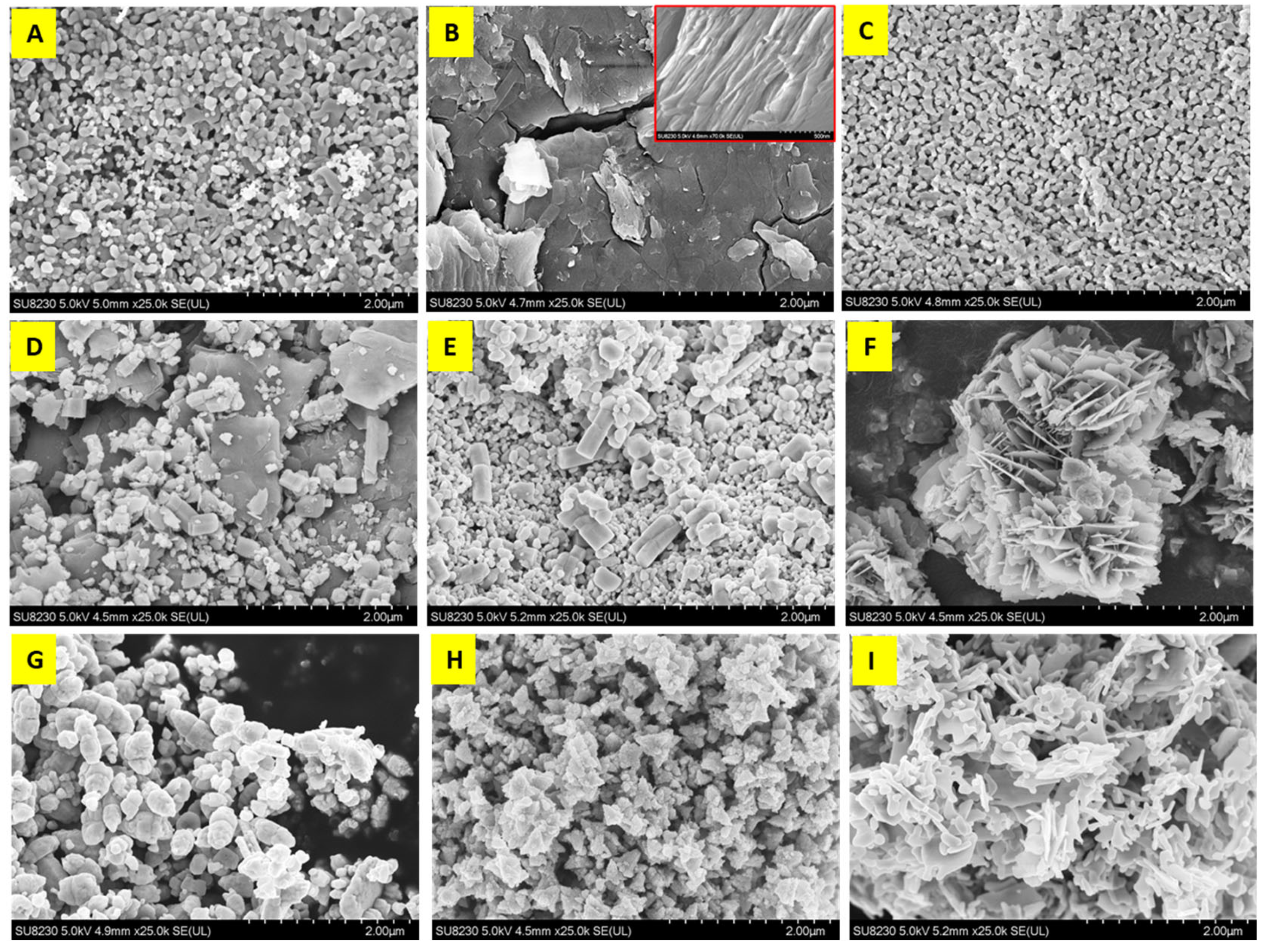 Chemosensors 12 00083 g005