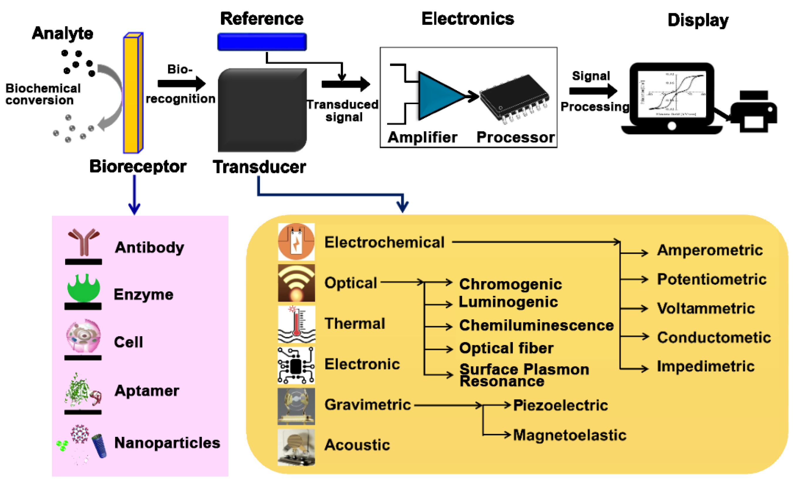 Chemosensors 12 00092 g001