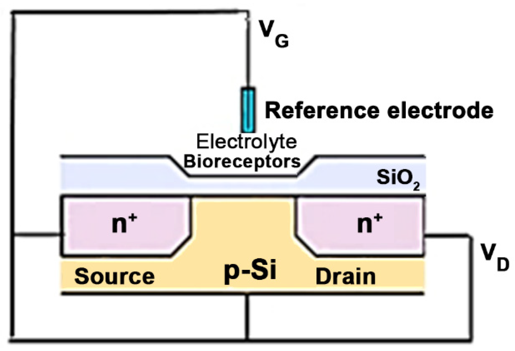 Chemosensors 12 00092 g003