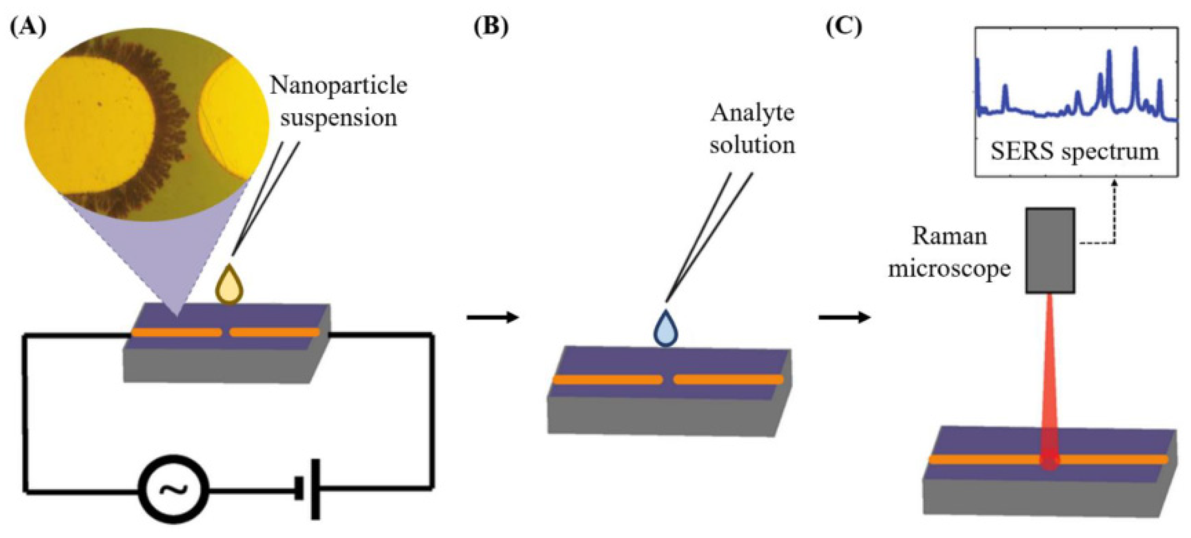 Chemosensors 12 00092 g007