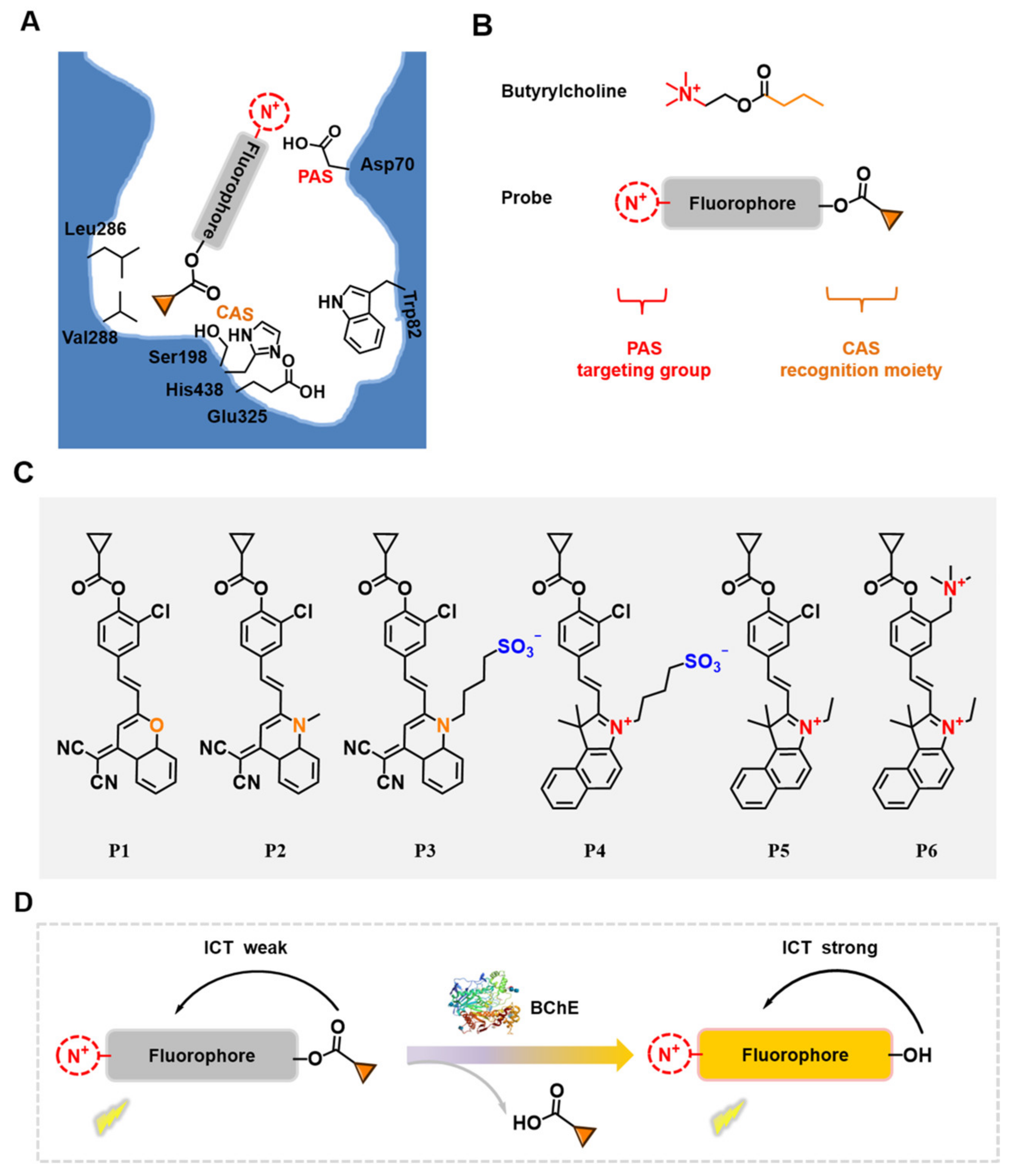 Chemosensors 12 00100 g002