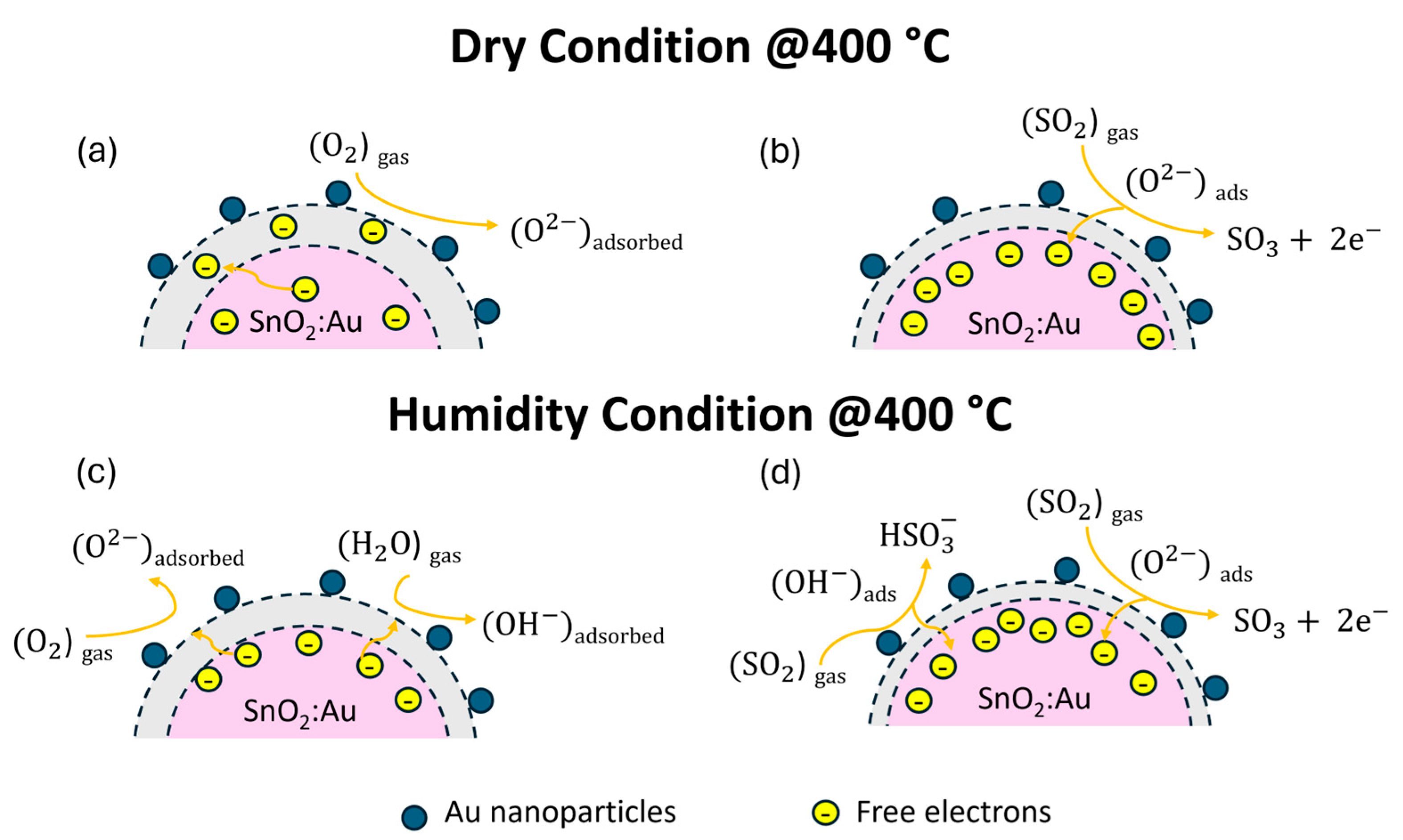 Chemosensors 12 00111 g007