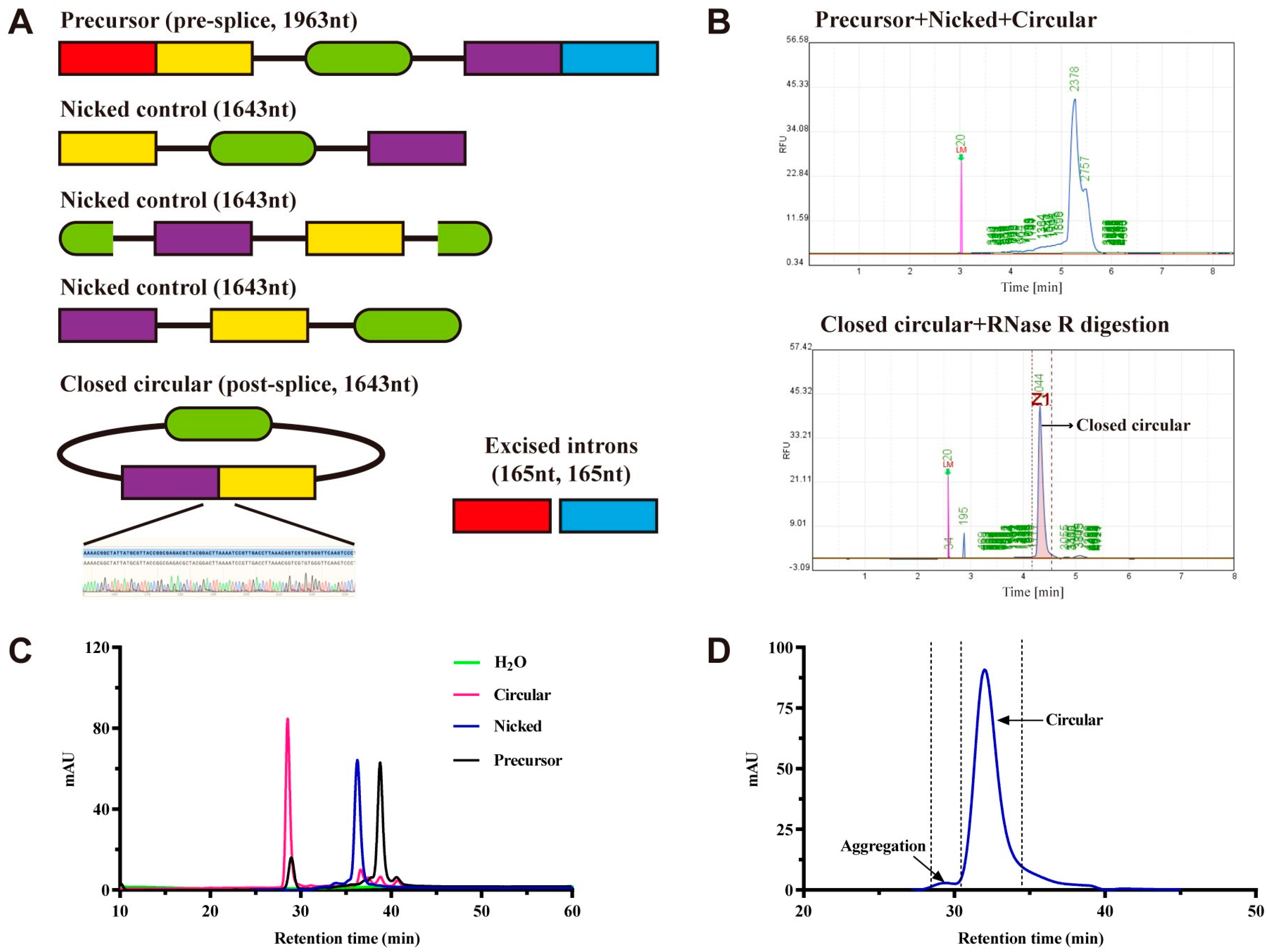 Chemosensors 12 00120 g001