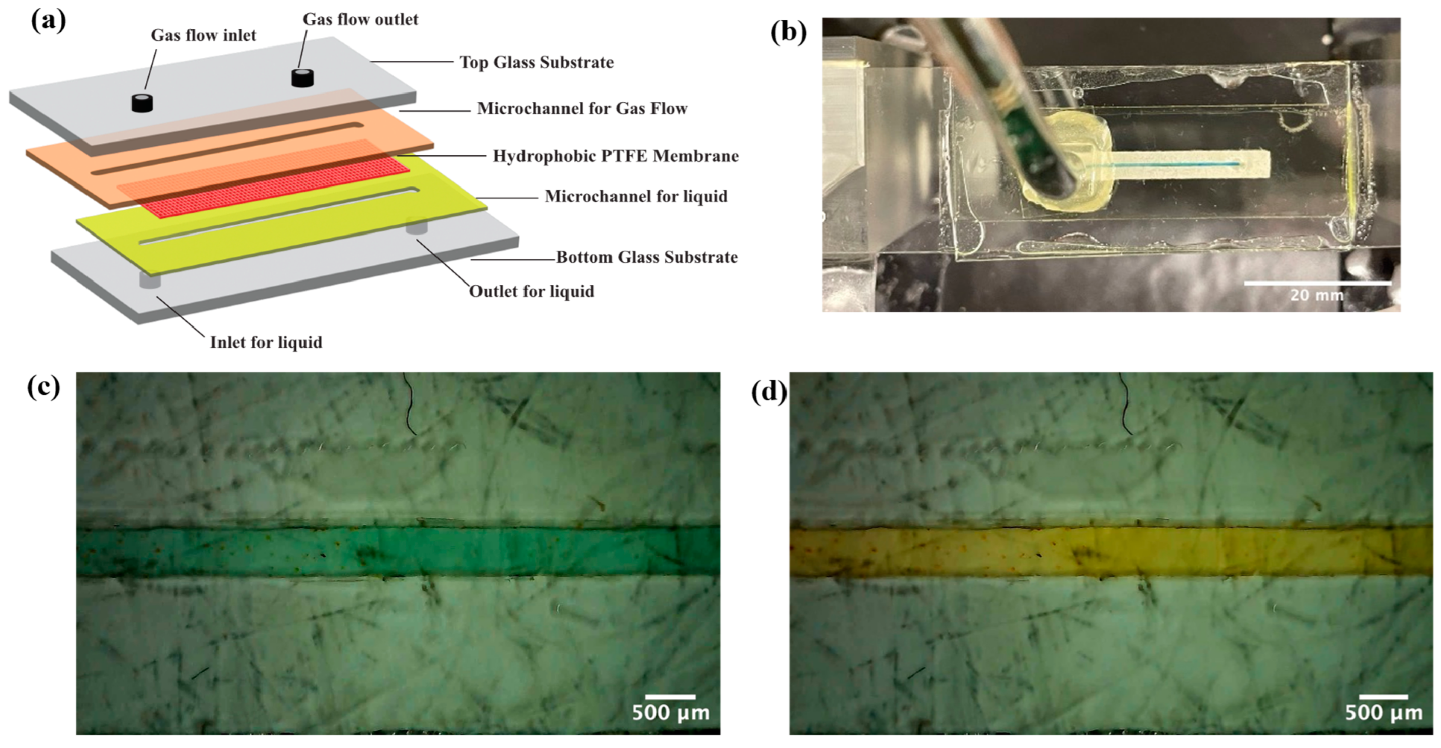 Response Time Dynamics of a Membrane-Based Microfluidic Gas Sensor | MDPI