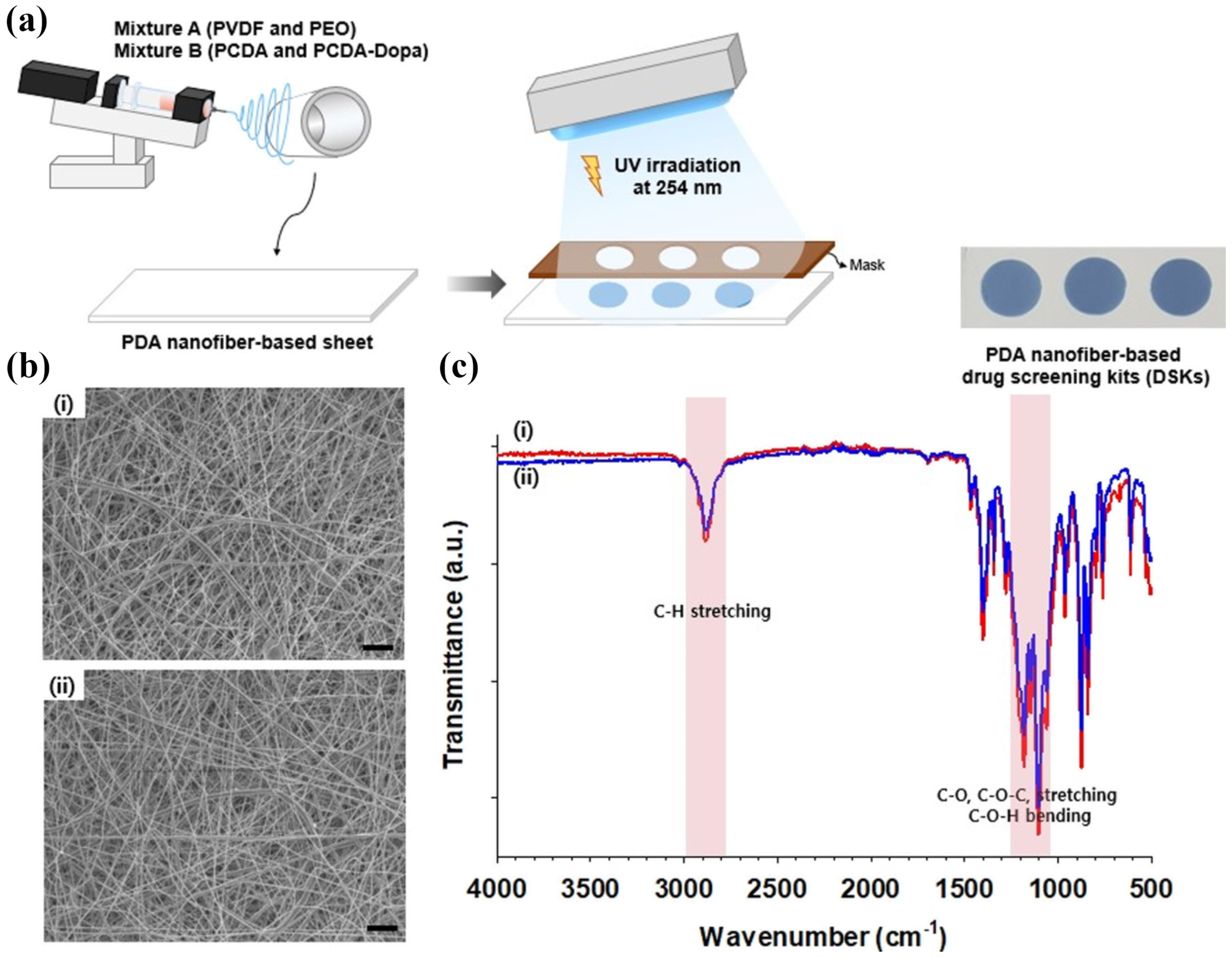 Chemosensors 12 00129 g008