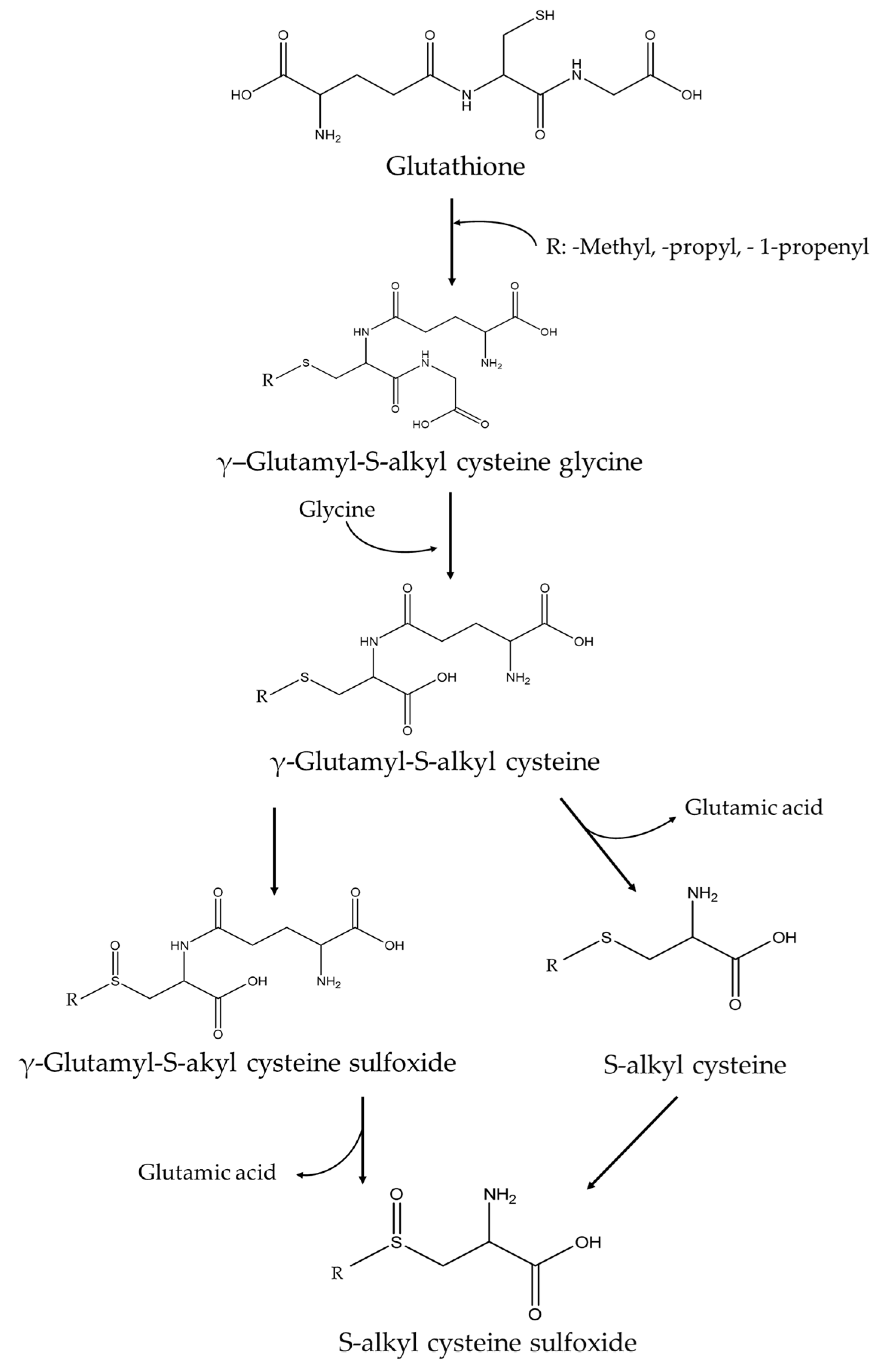 Chemosensors 12 00130 g001