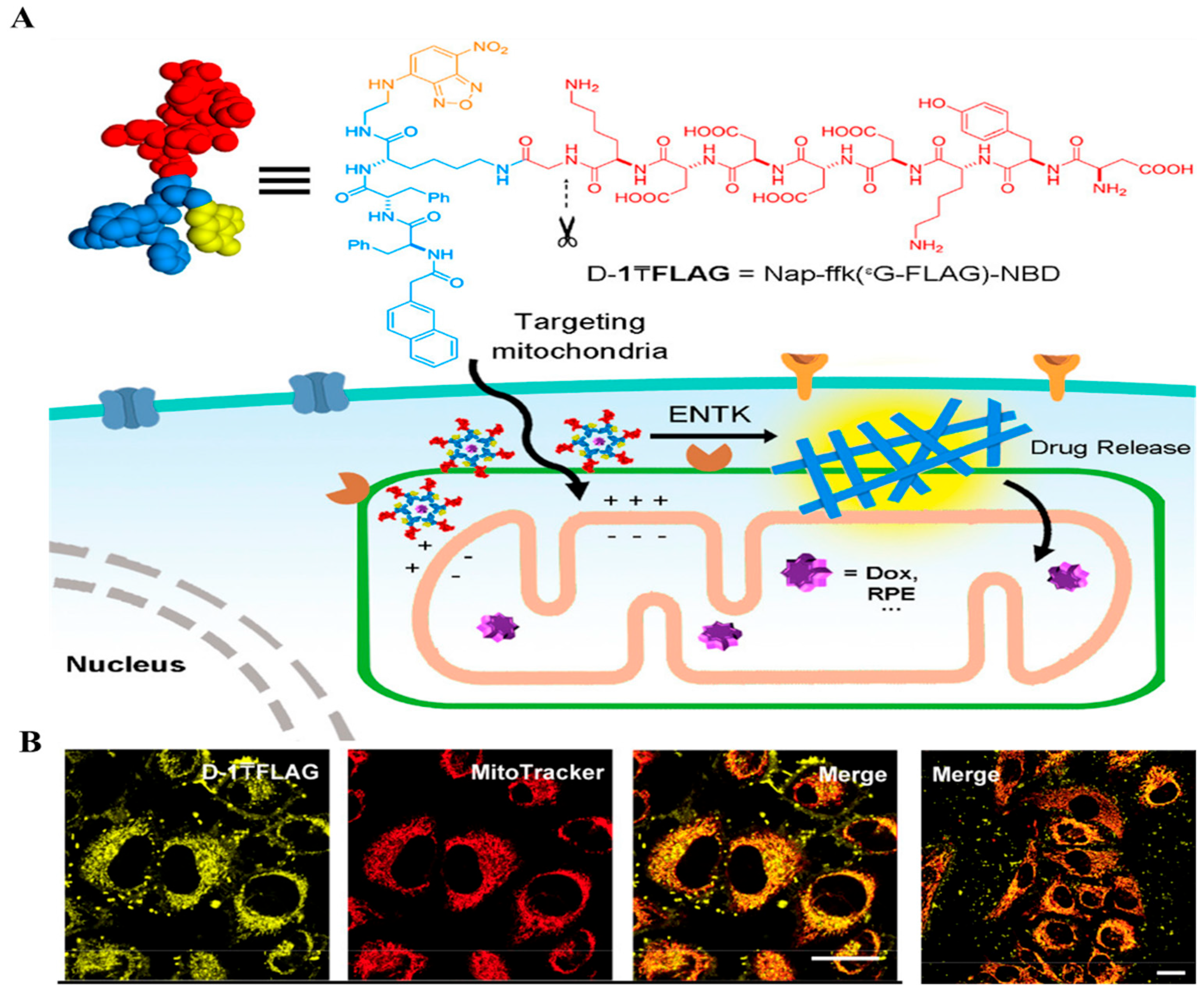 Chemosensors 12 00138 g005