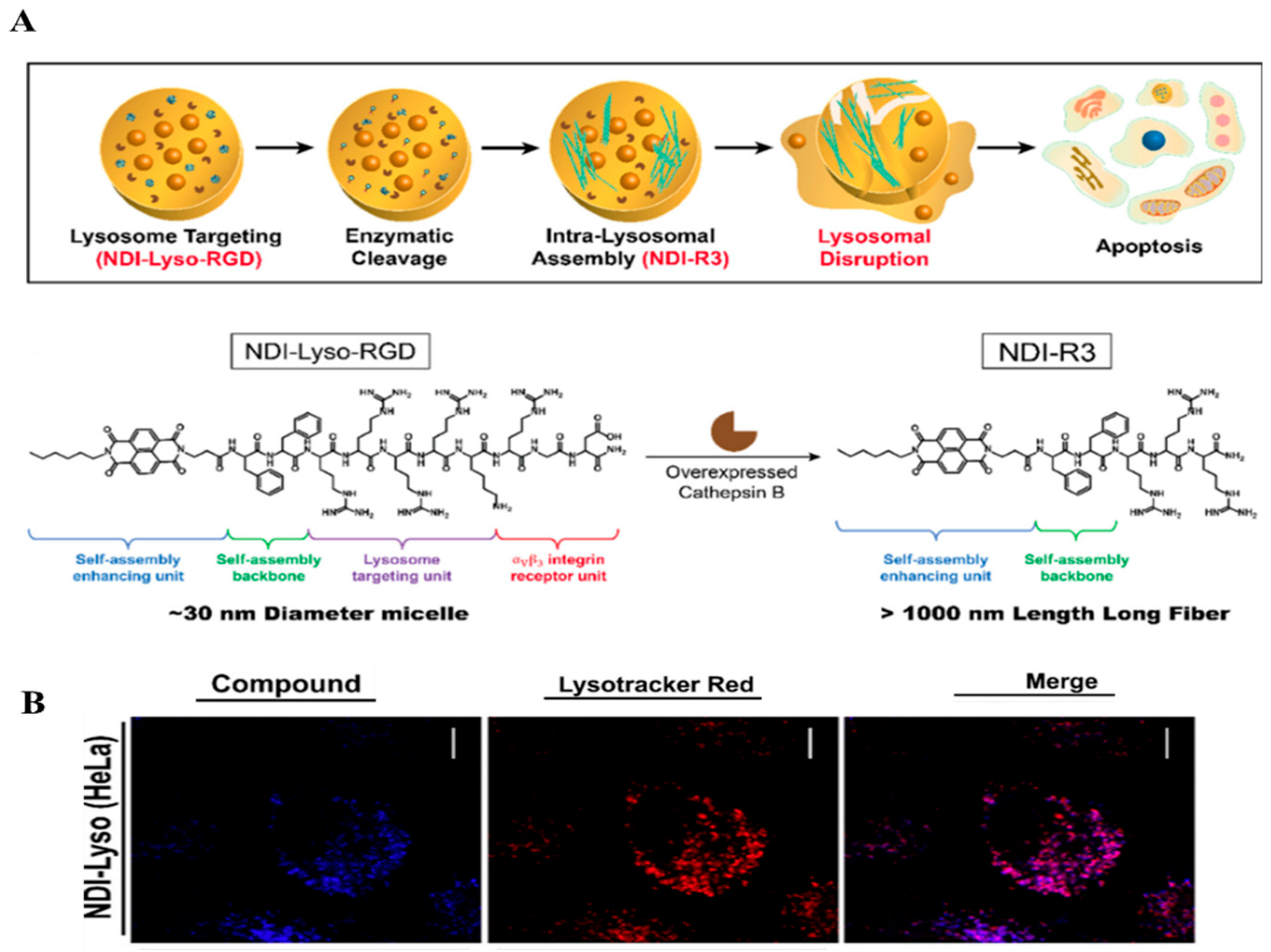 Chemosensors 12 00138 g008